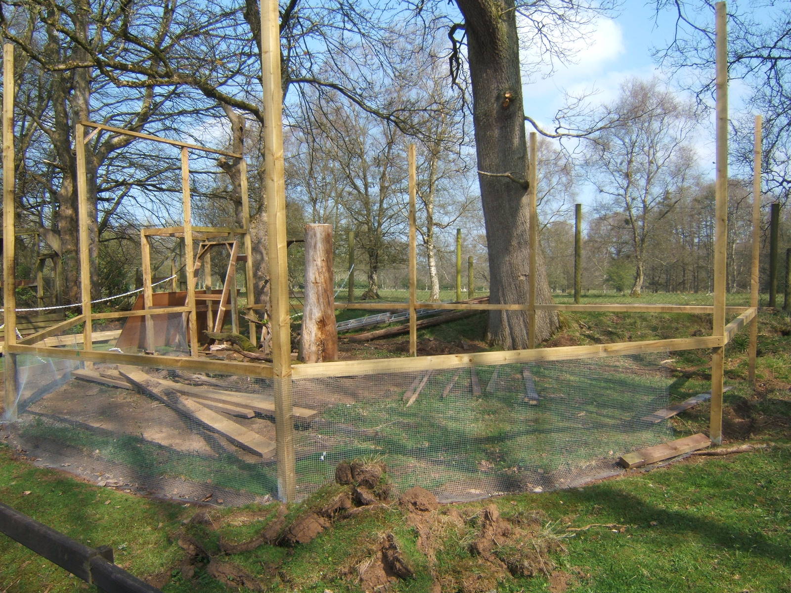 World of Owls,Randalstown NI