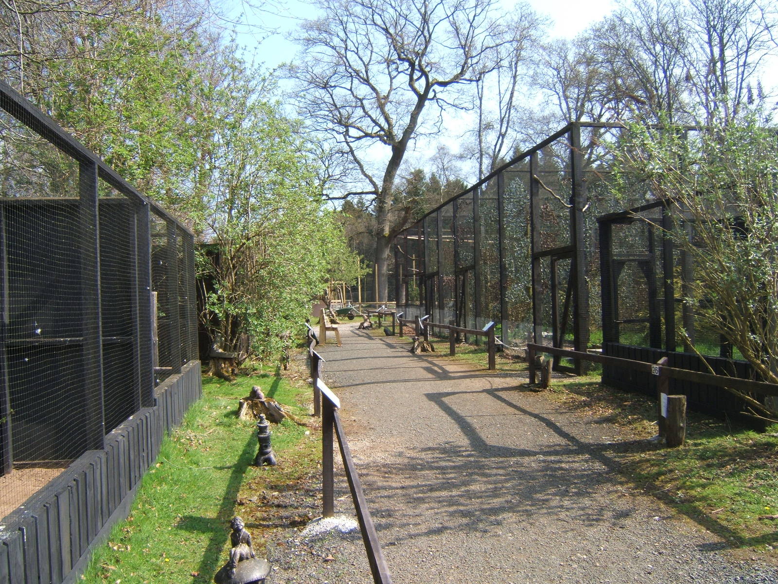 World of Owls,Randalstown NI