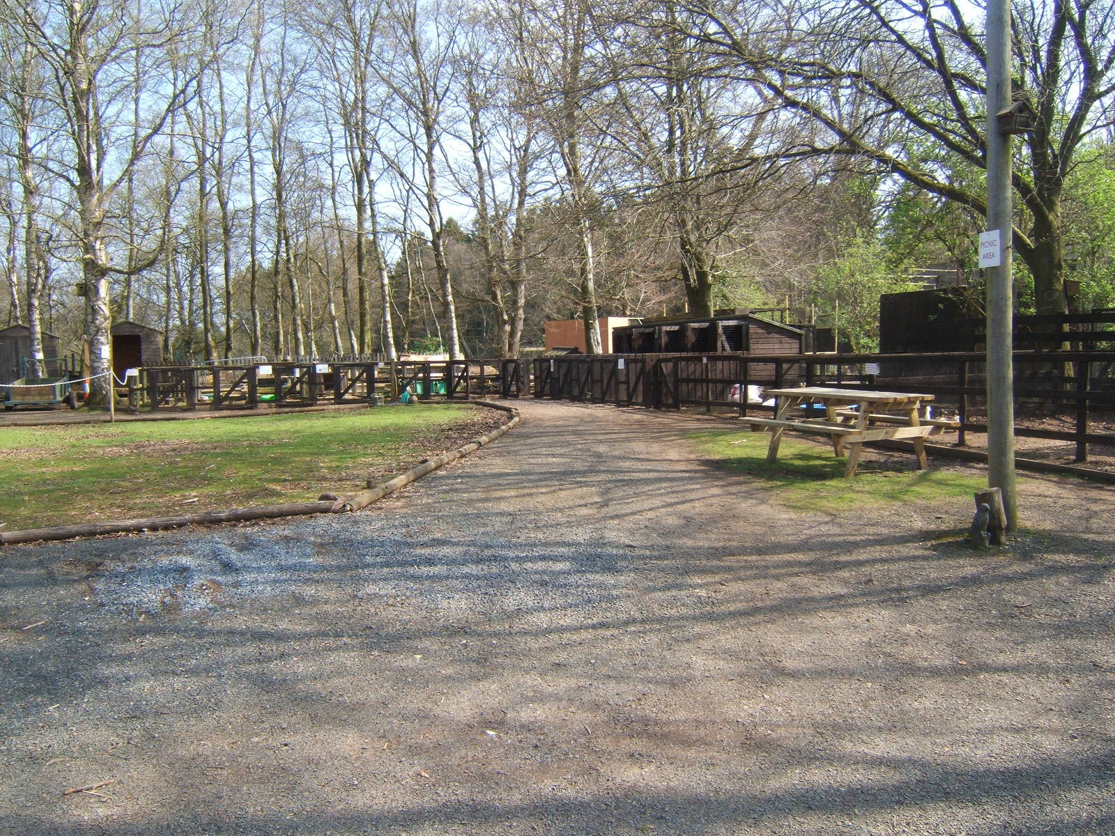 World of Owls,Randalstown NI