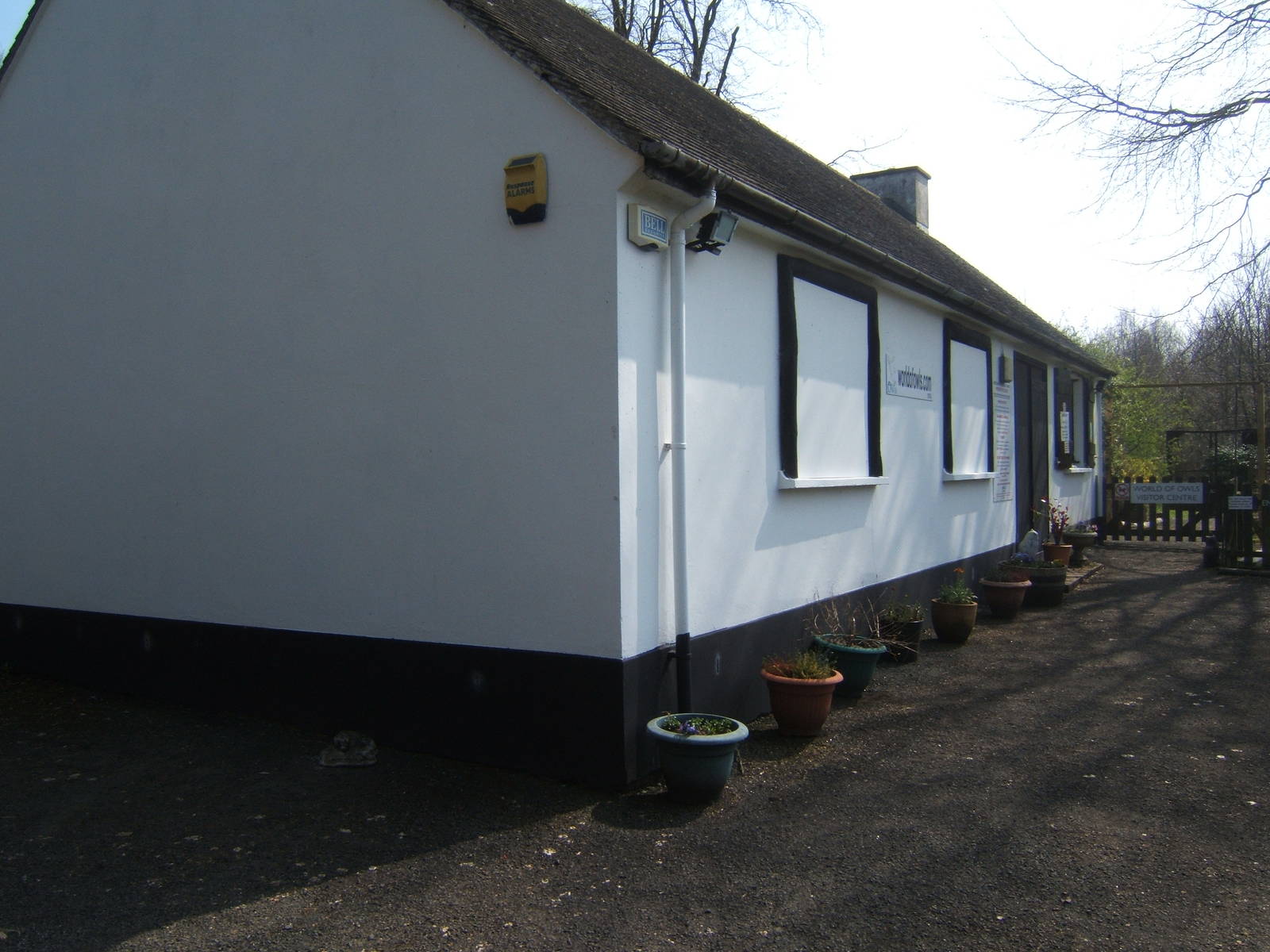 World of Owls,Randalstown NI