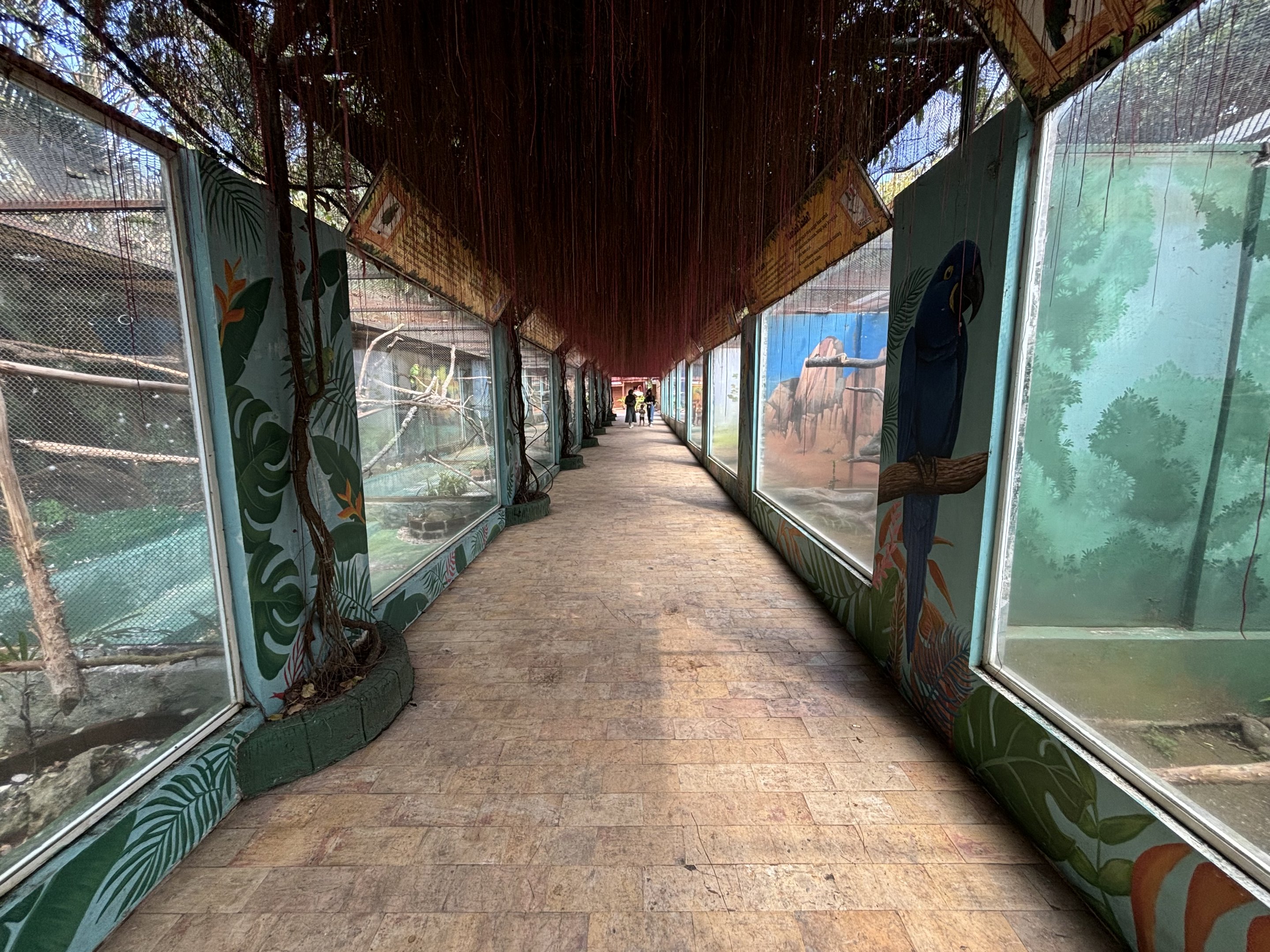 World of Parrot - almost 20 aviaries