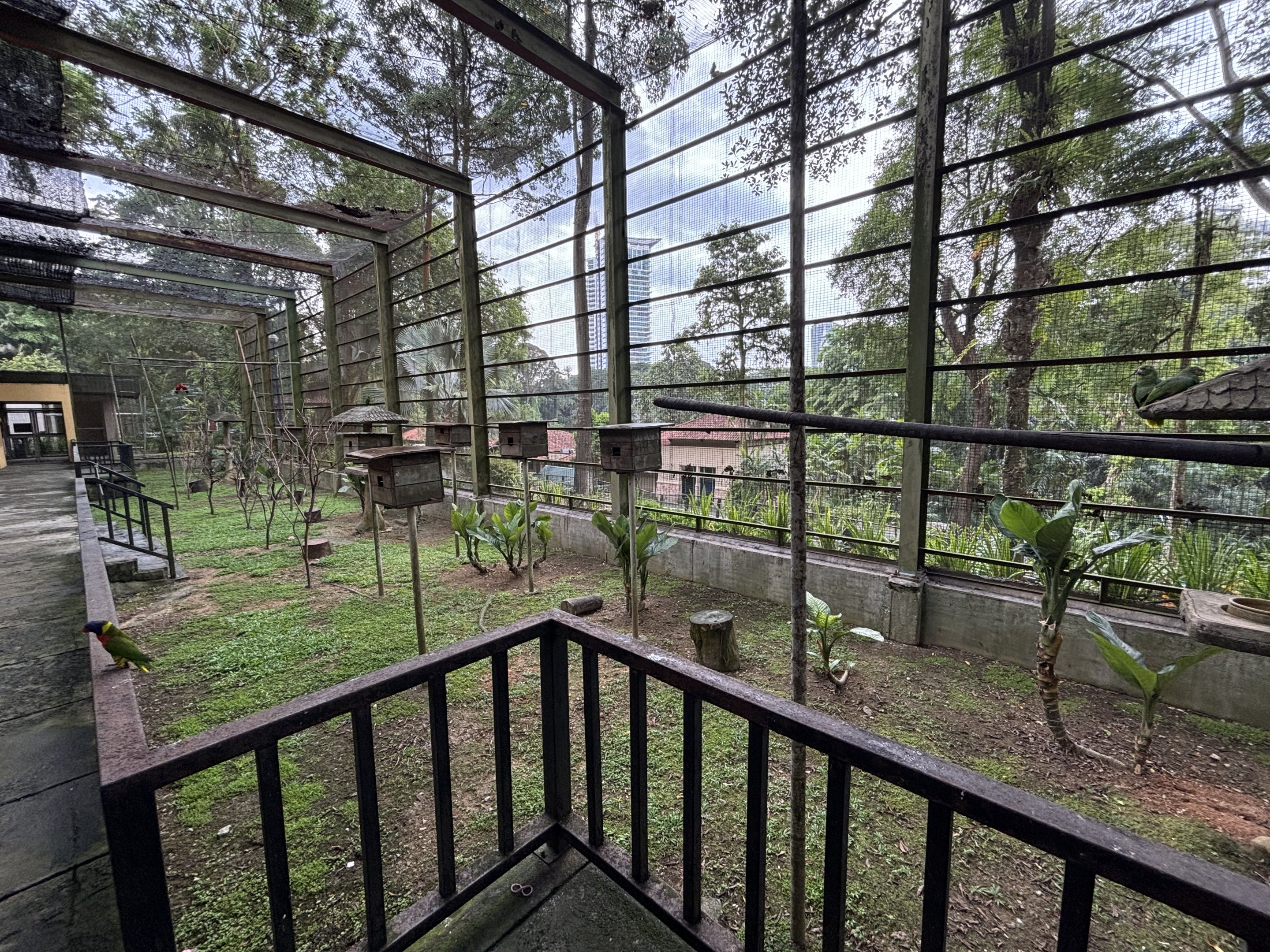 World of Parrots Aviary (walk-through)