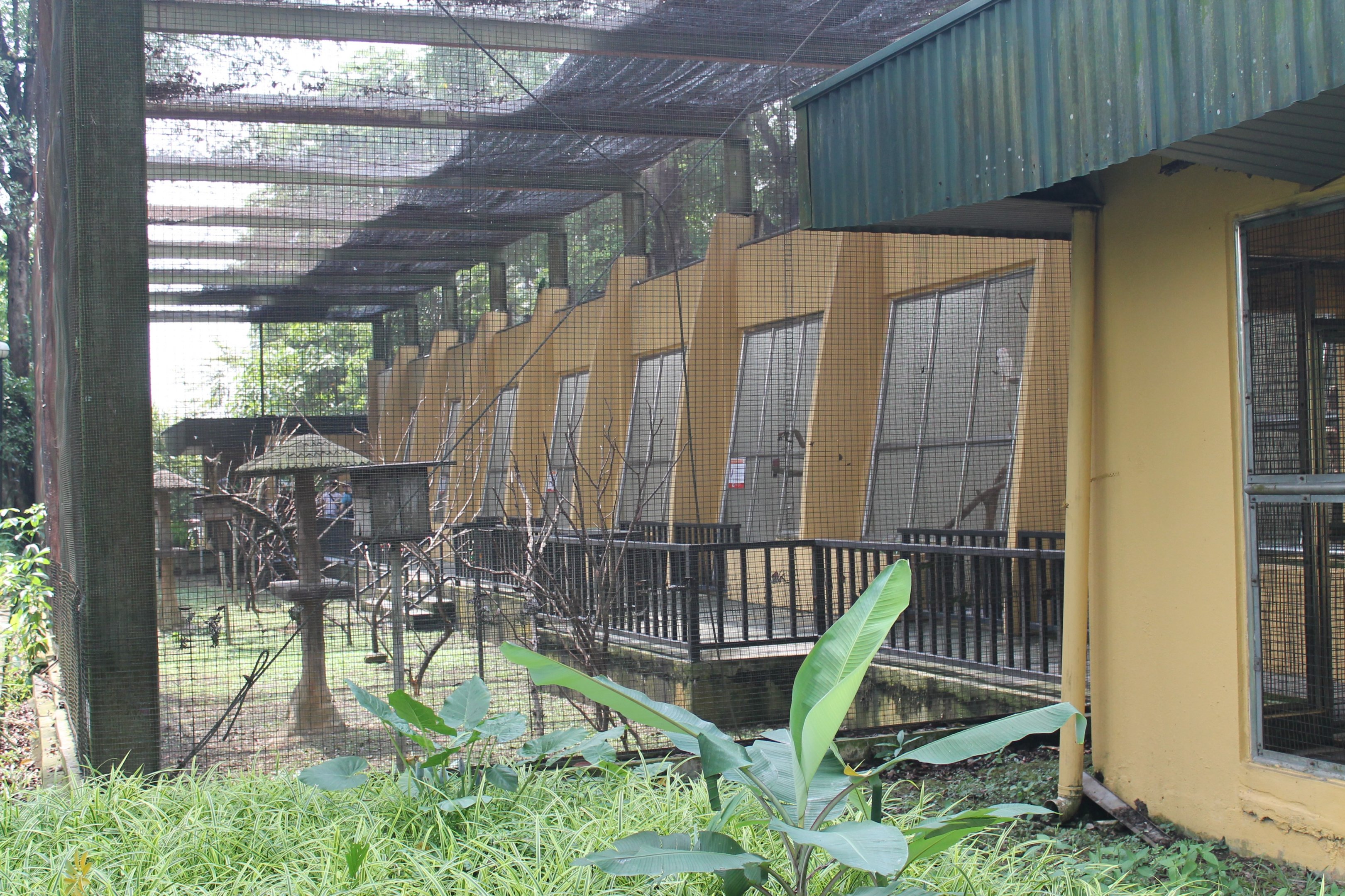 World of Parrots aviary