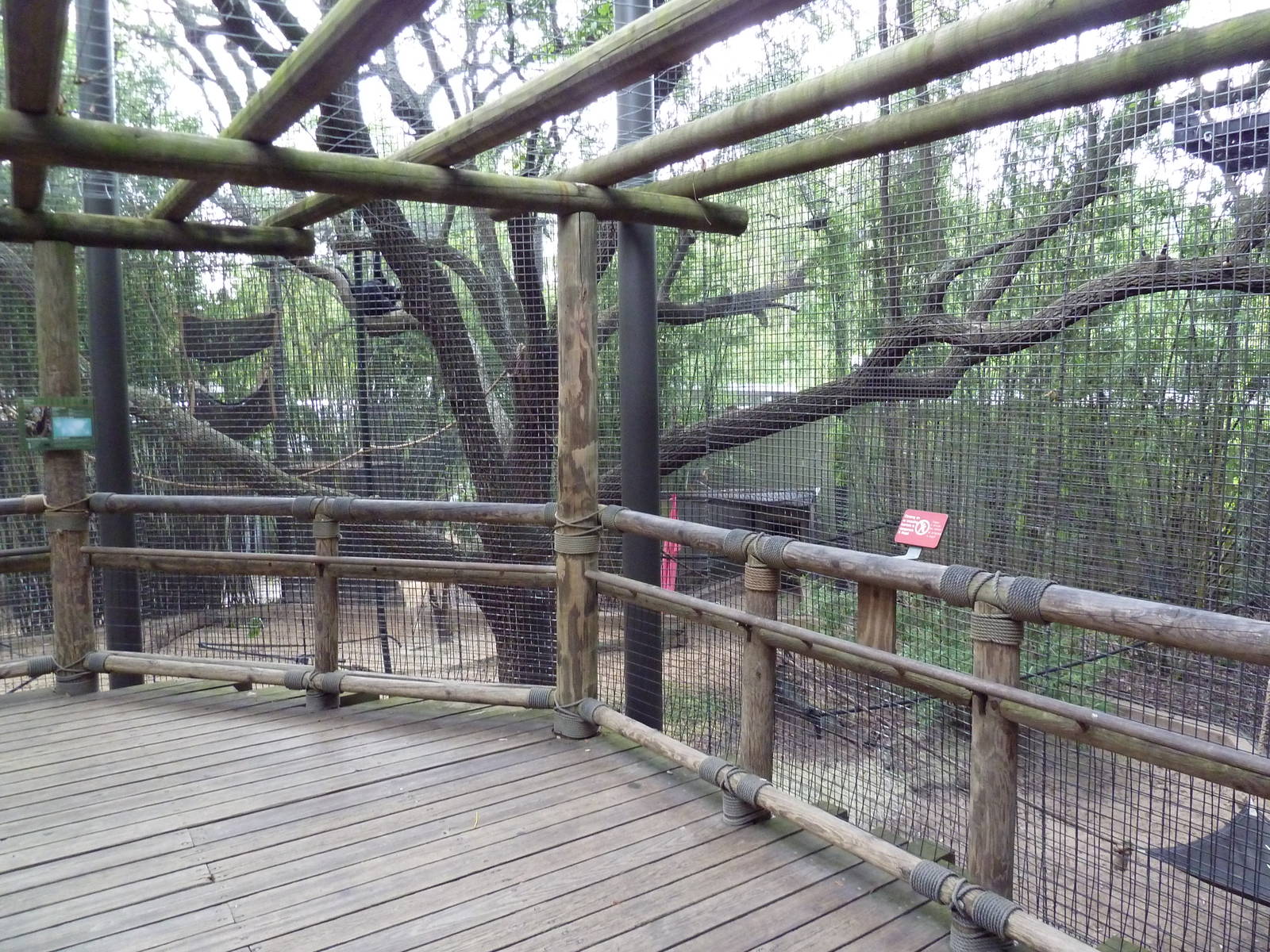 World Of Primates - Agile Gibbon/Siamang Exhibit