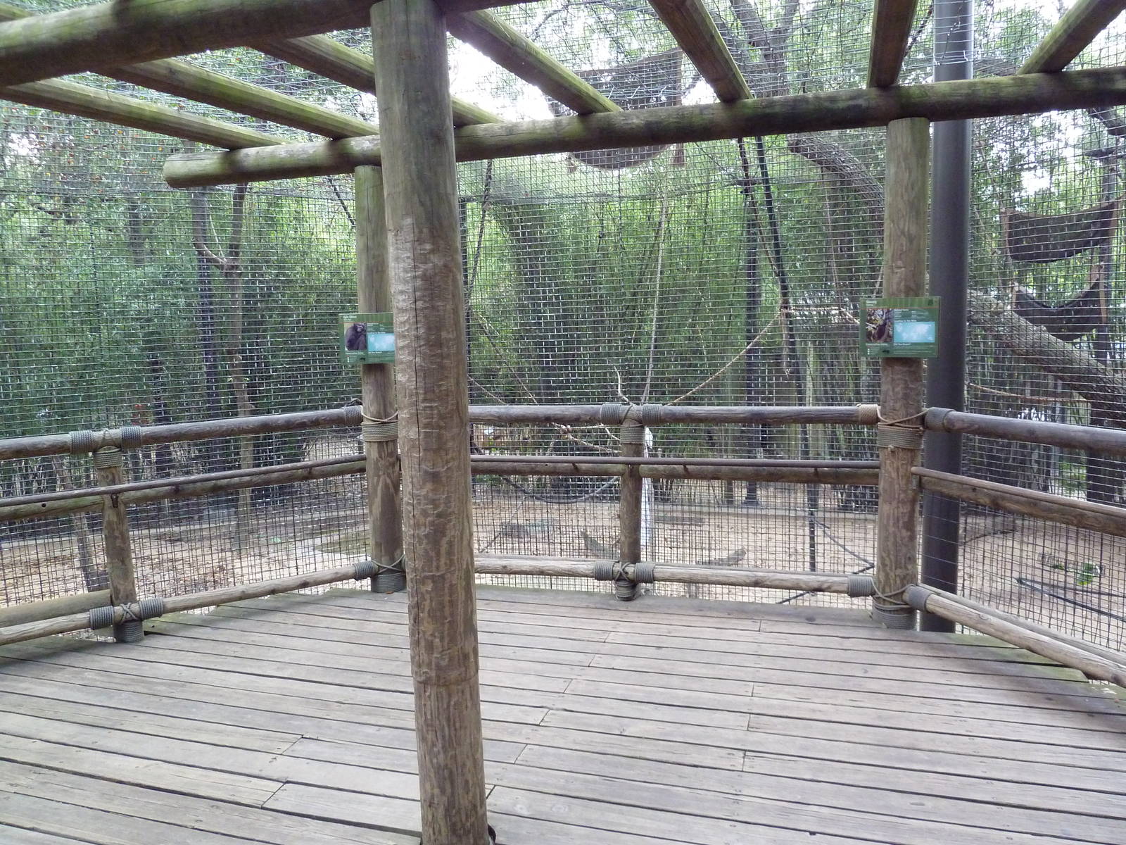 World Of Primates - Agile Gibbon/Siamang Exhibit
