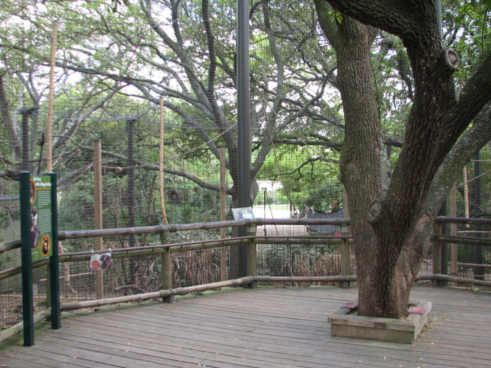 World of Primates - Allens Swamp and Schmidts Red-tailed Monkey Exhibit