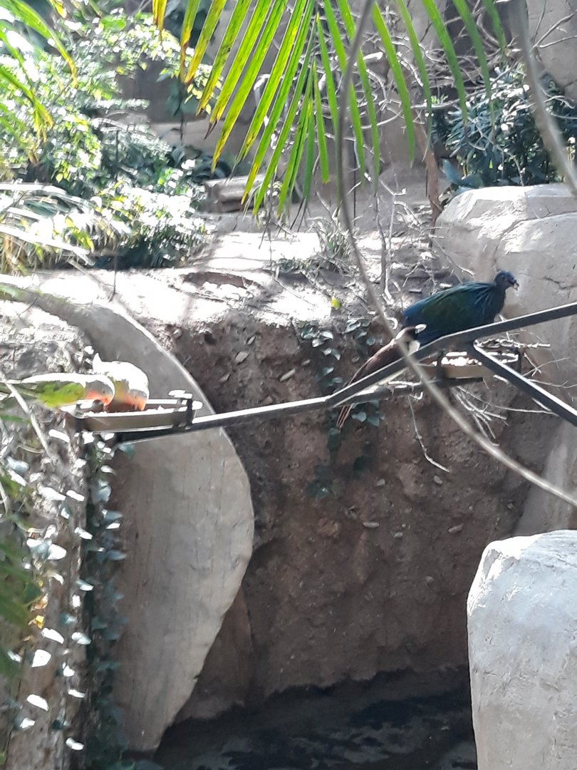 World of Primates atrium