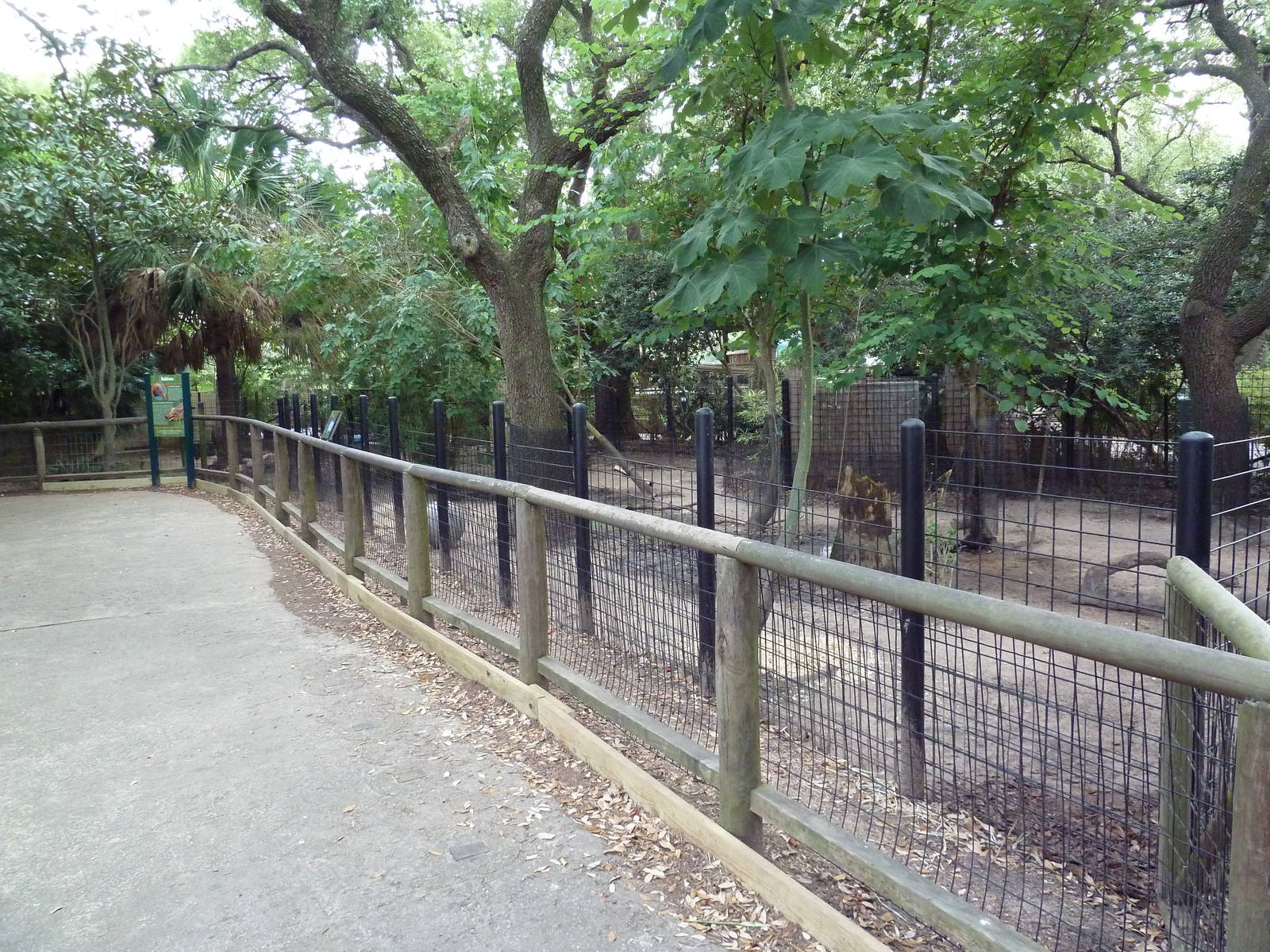 World Of Primates - Babirusa Exhibit