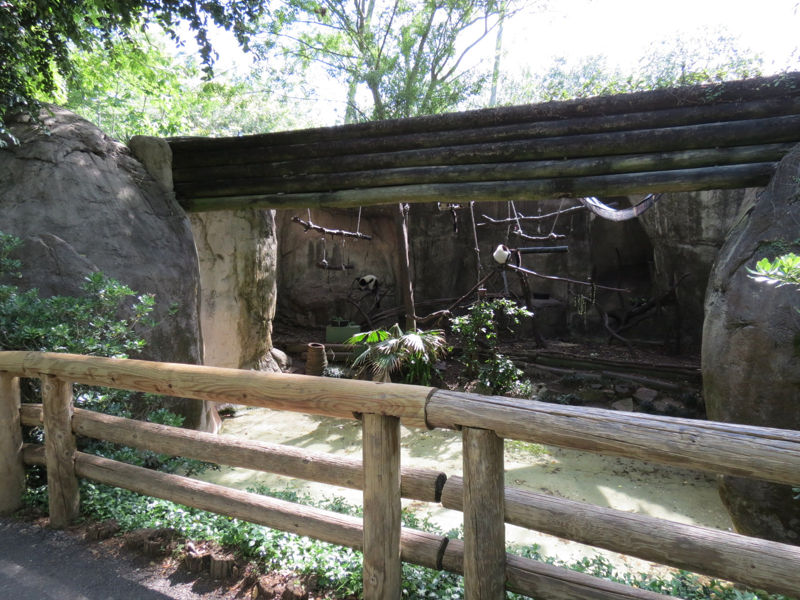World of Primates - Black and White Ruffed Lemur Exhibit