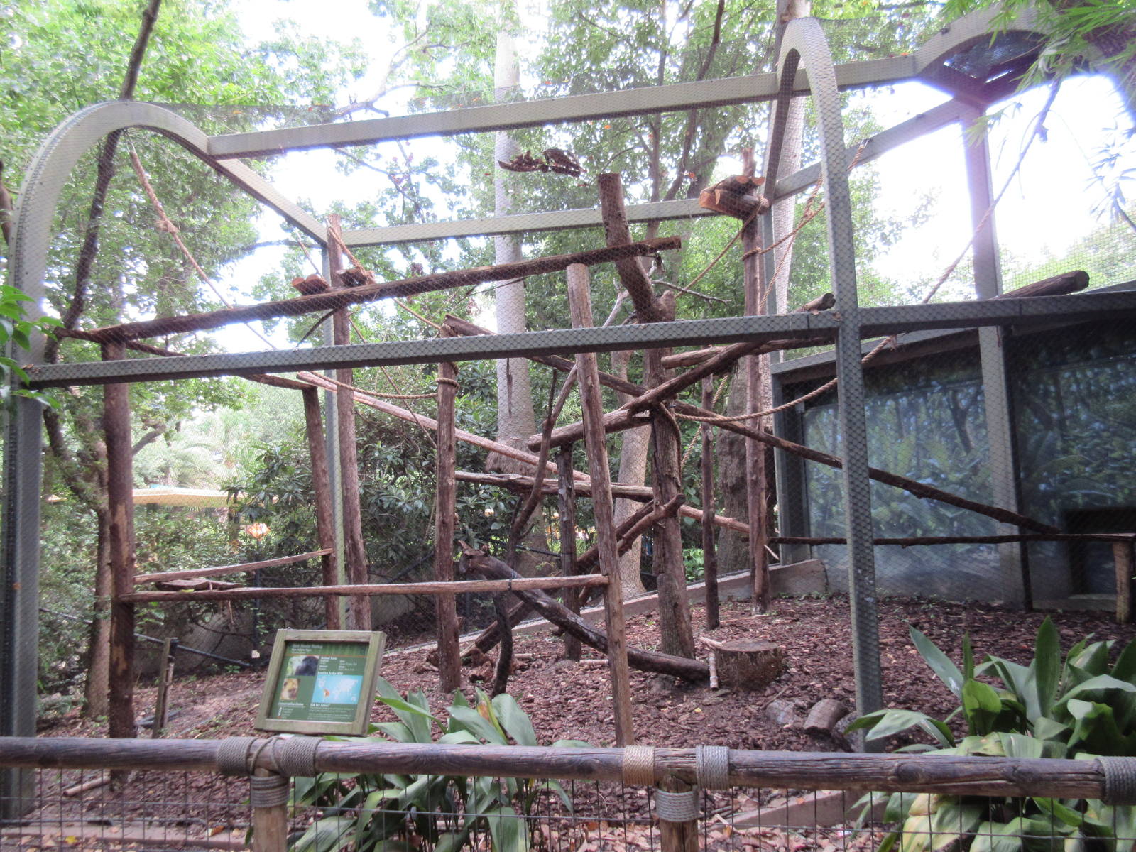 World of Primates - Black Howler Monkey Exhibit