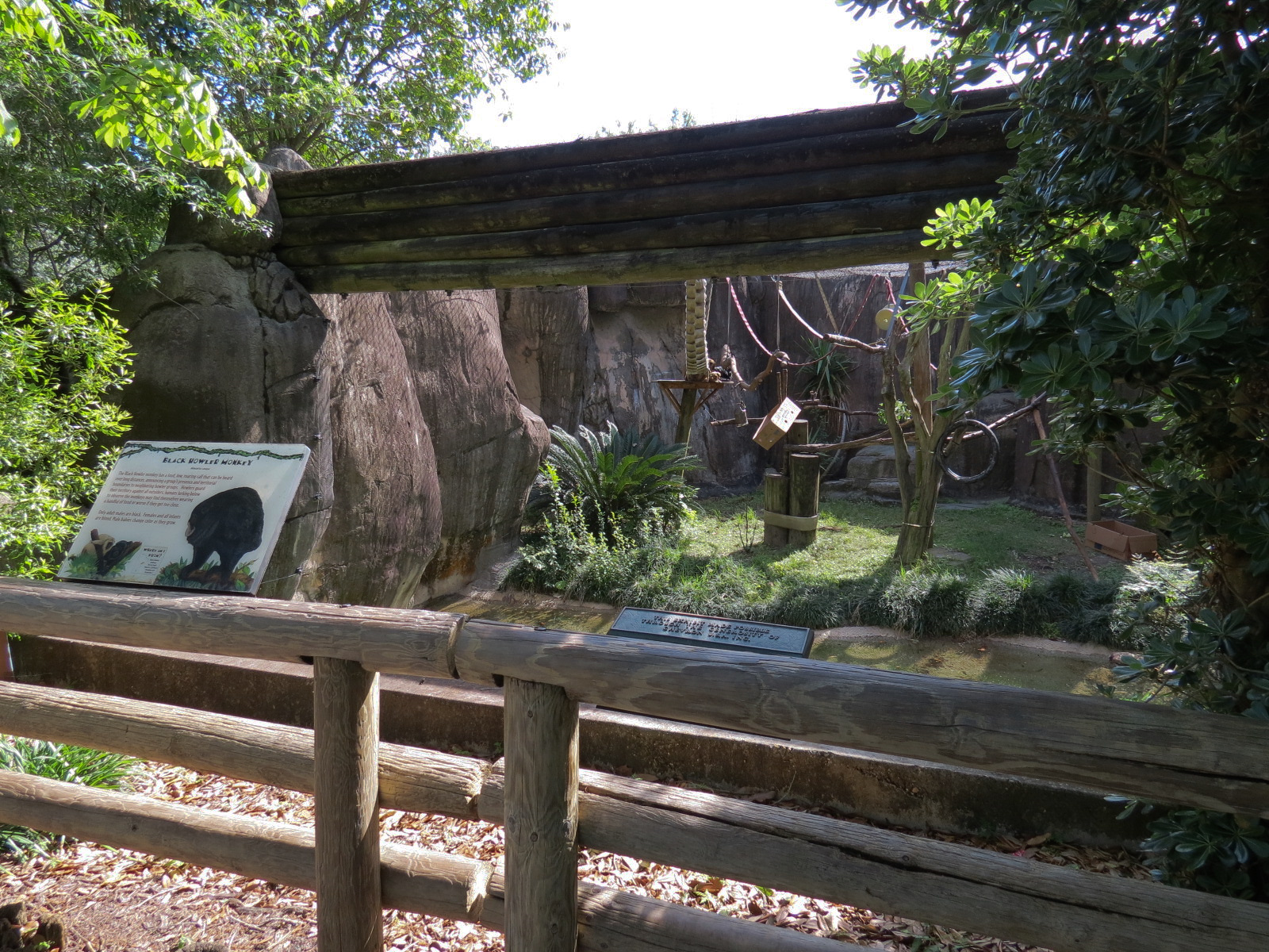 World of Primates - Black Howler Monkey Exhibit