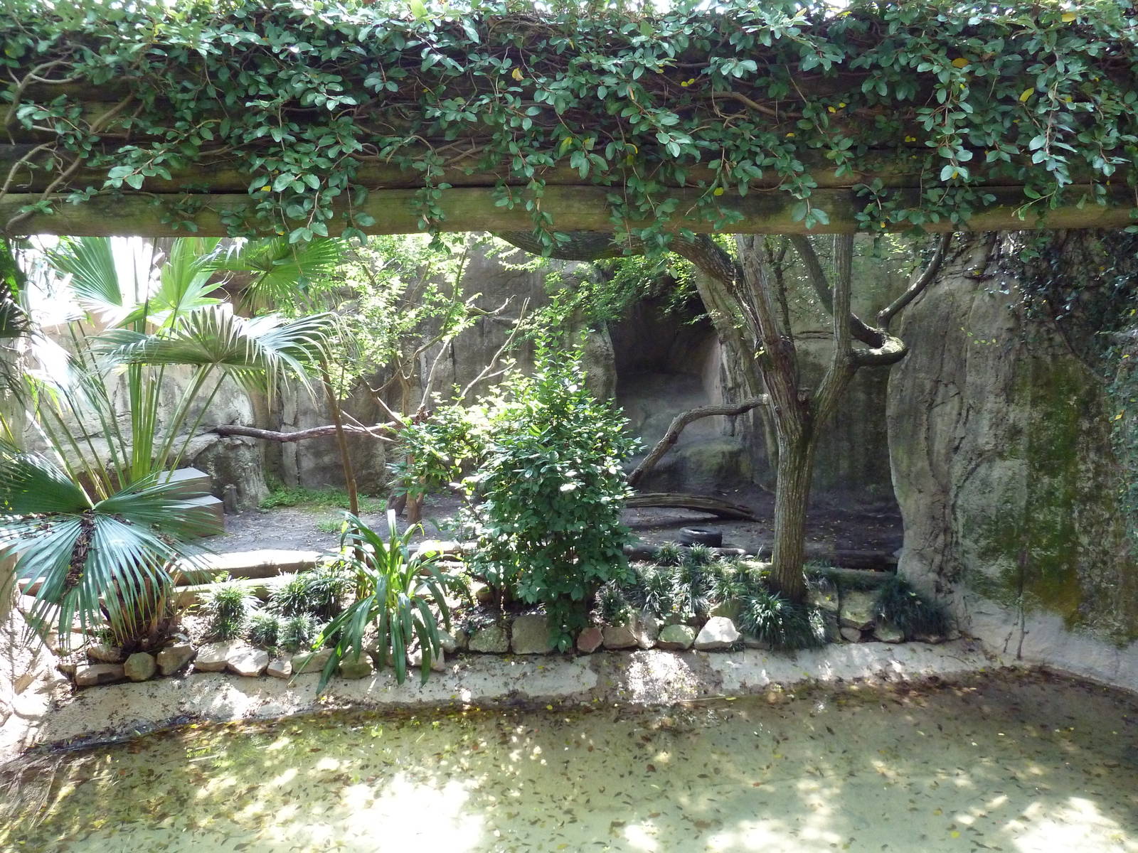 World Of Primates - Black + White Ruffed Lemur Exhibit