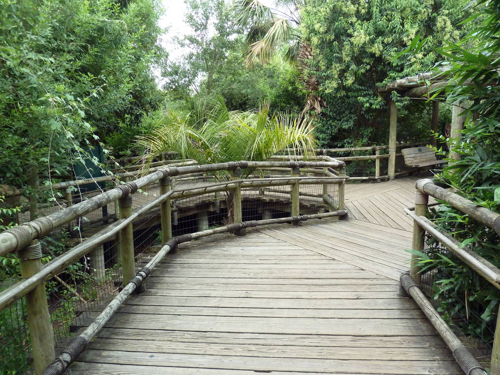 World Of Primates - Boardwalk