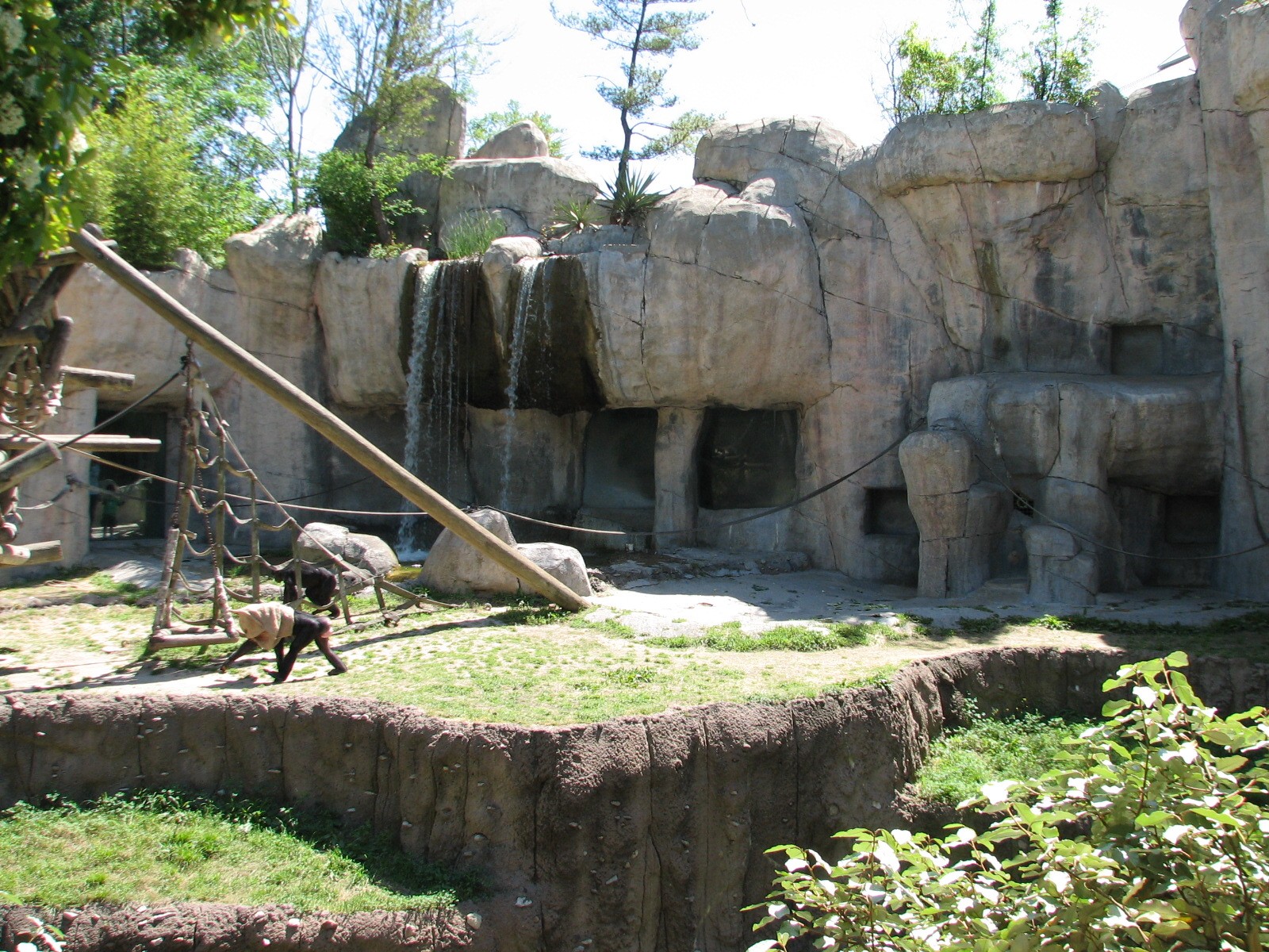 World of Primates - Chimpanzee Exhibit