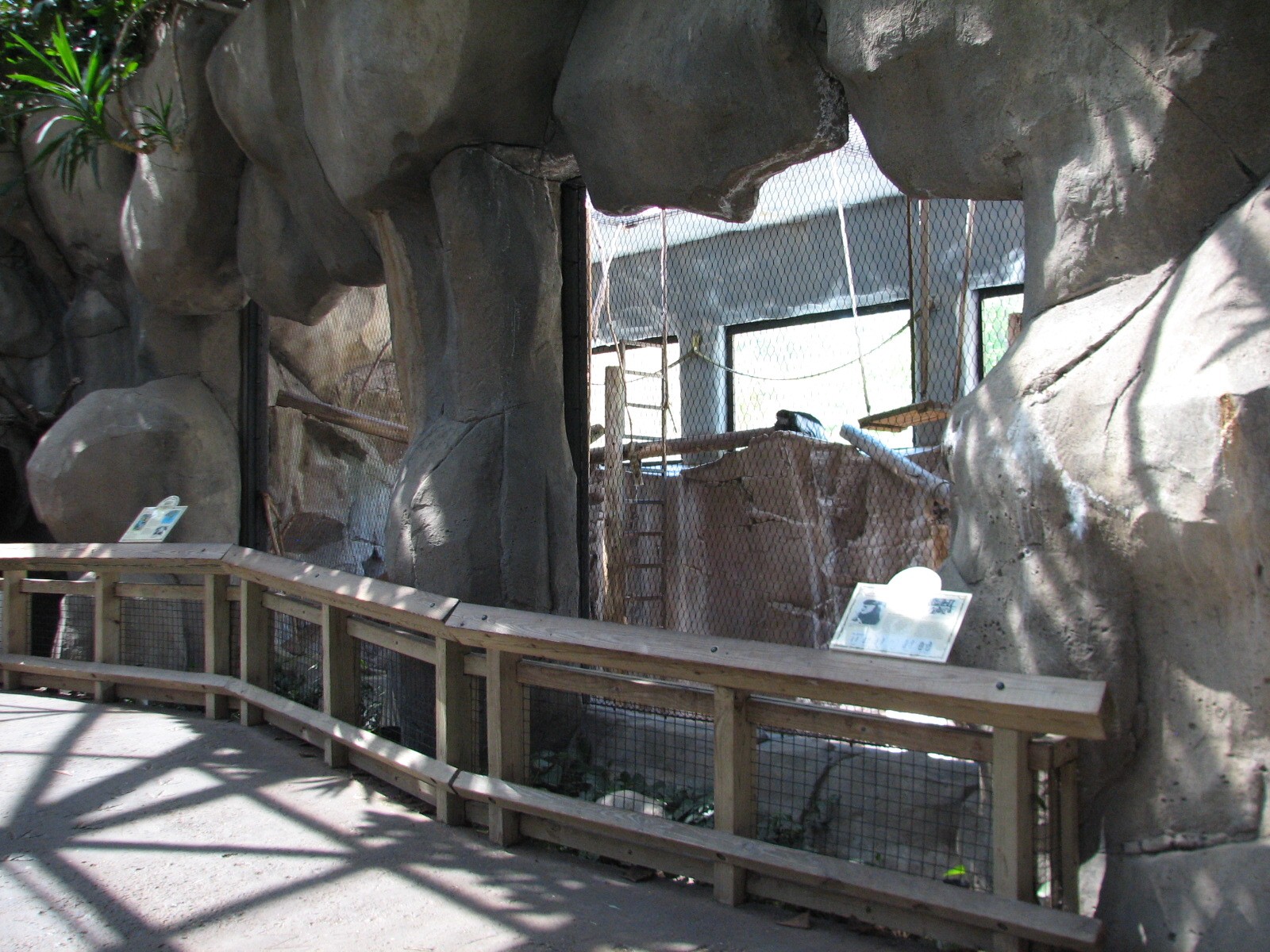World of Primates - Colobus Exhibit