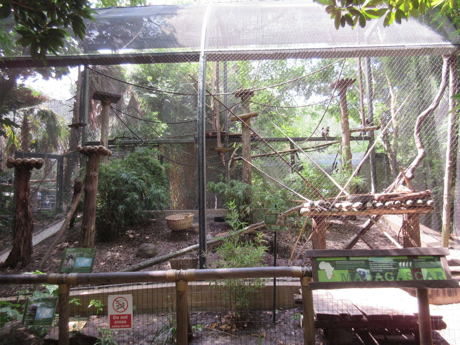 World of Primates - Coquerel's Sifaka/Radiated Tortoise Exhibit