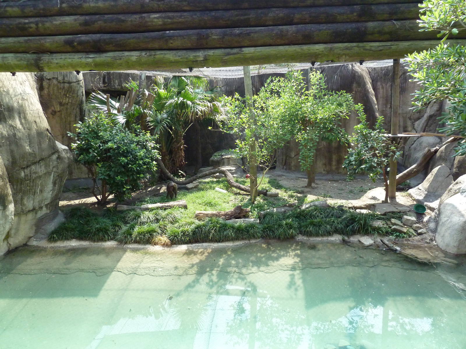 World Of Primates - Drill Exhibit