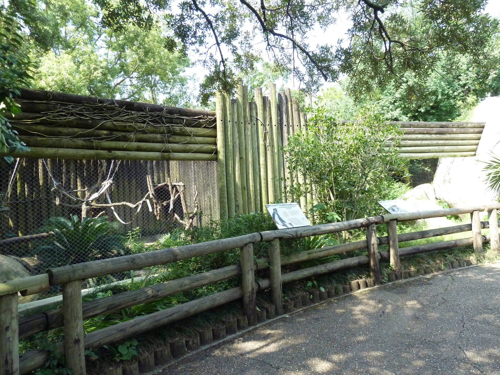 World Of Primates - Eastern Colobus Monkey Exhibit