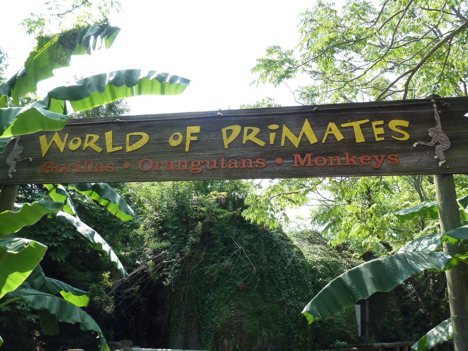 World Of Primates - Entrance Sign