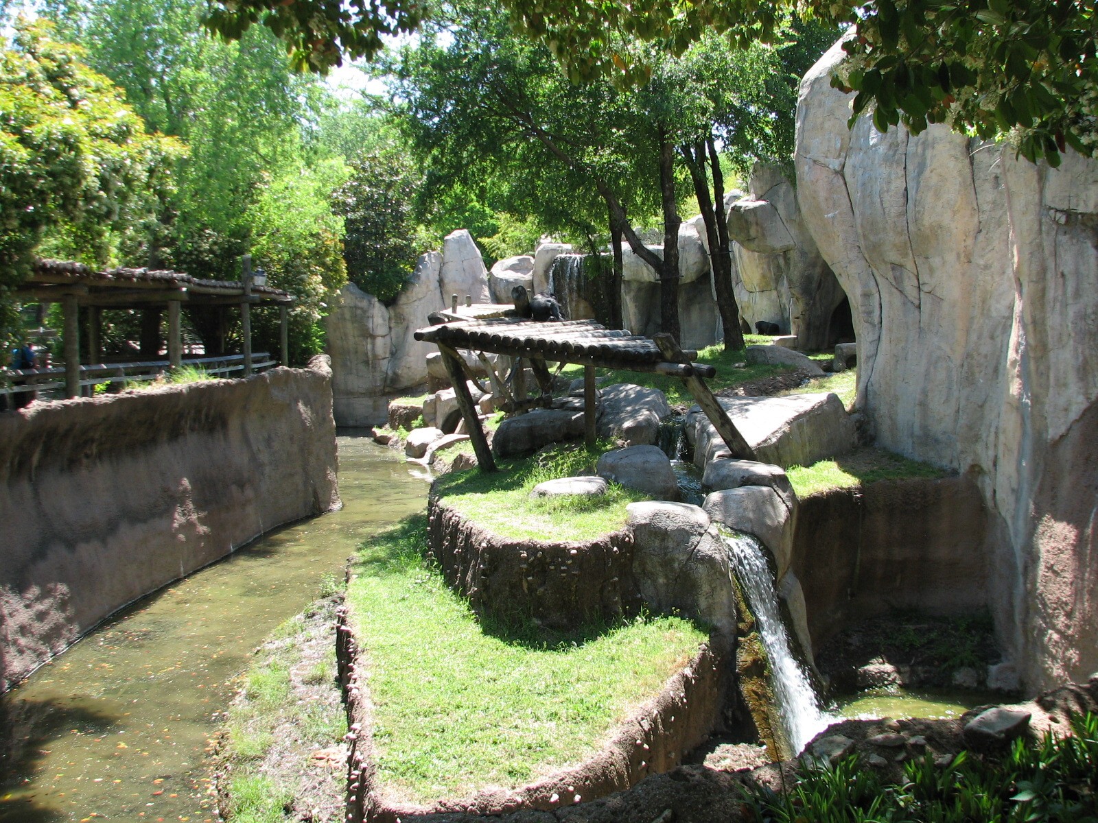 World of Primates - Exterior Gorilla Exhibit