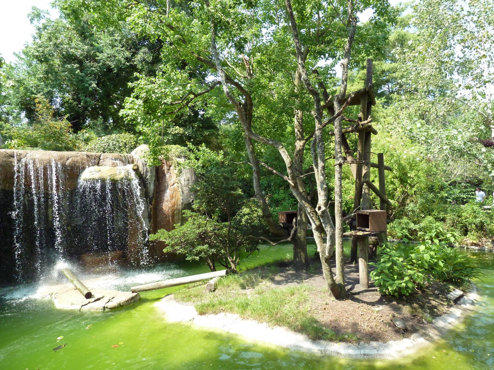 World Of Primates - Golden Lion Tamarin/White-Faced Saki Monkey Exhibit