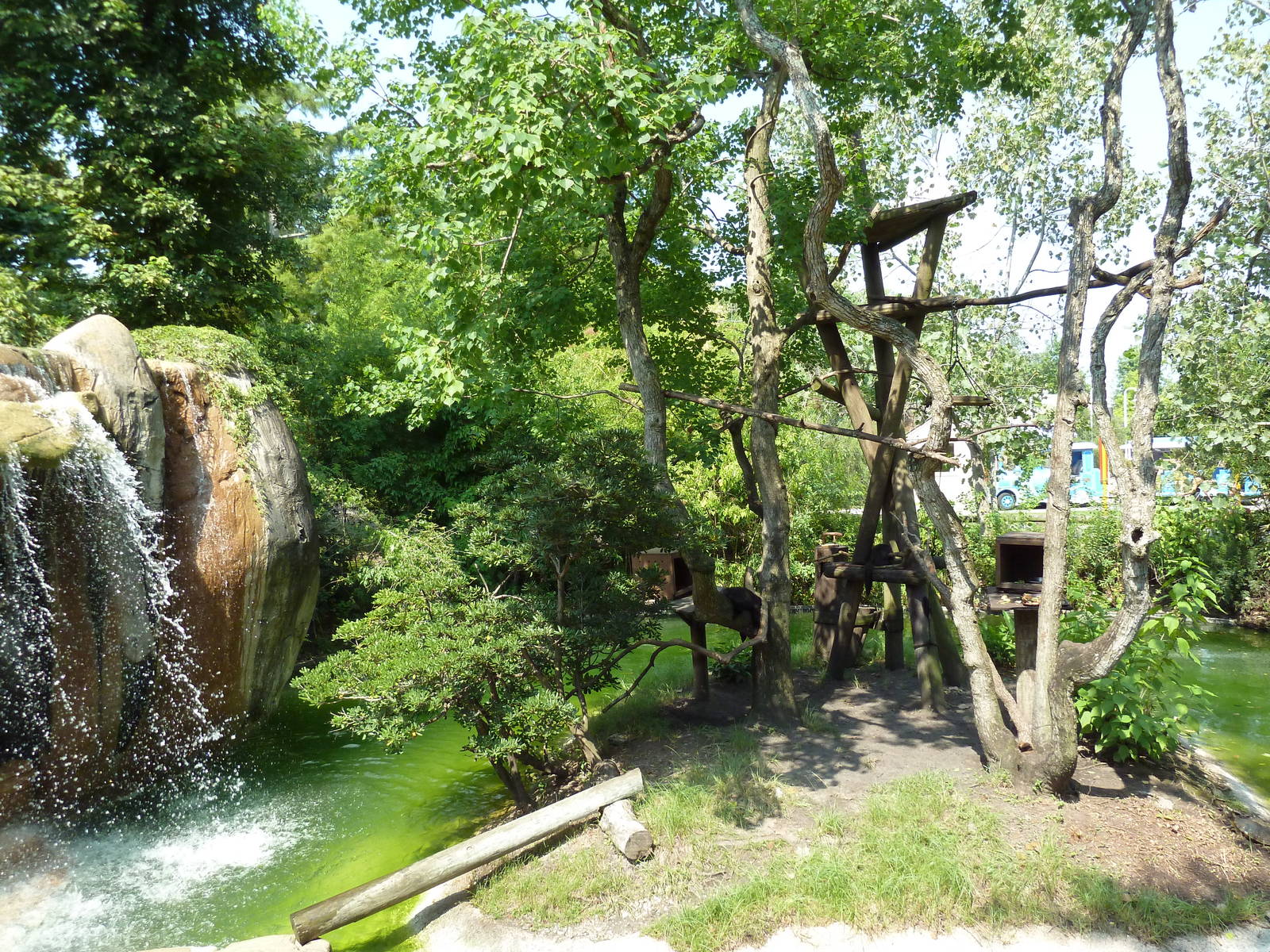 World Of Primates - Golden Lion Tamarin/White-Faced Saki Monkey Exhibit