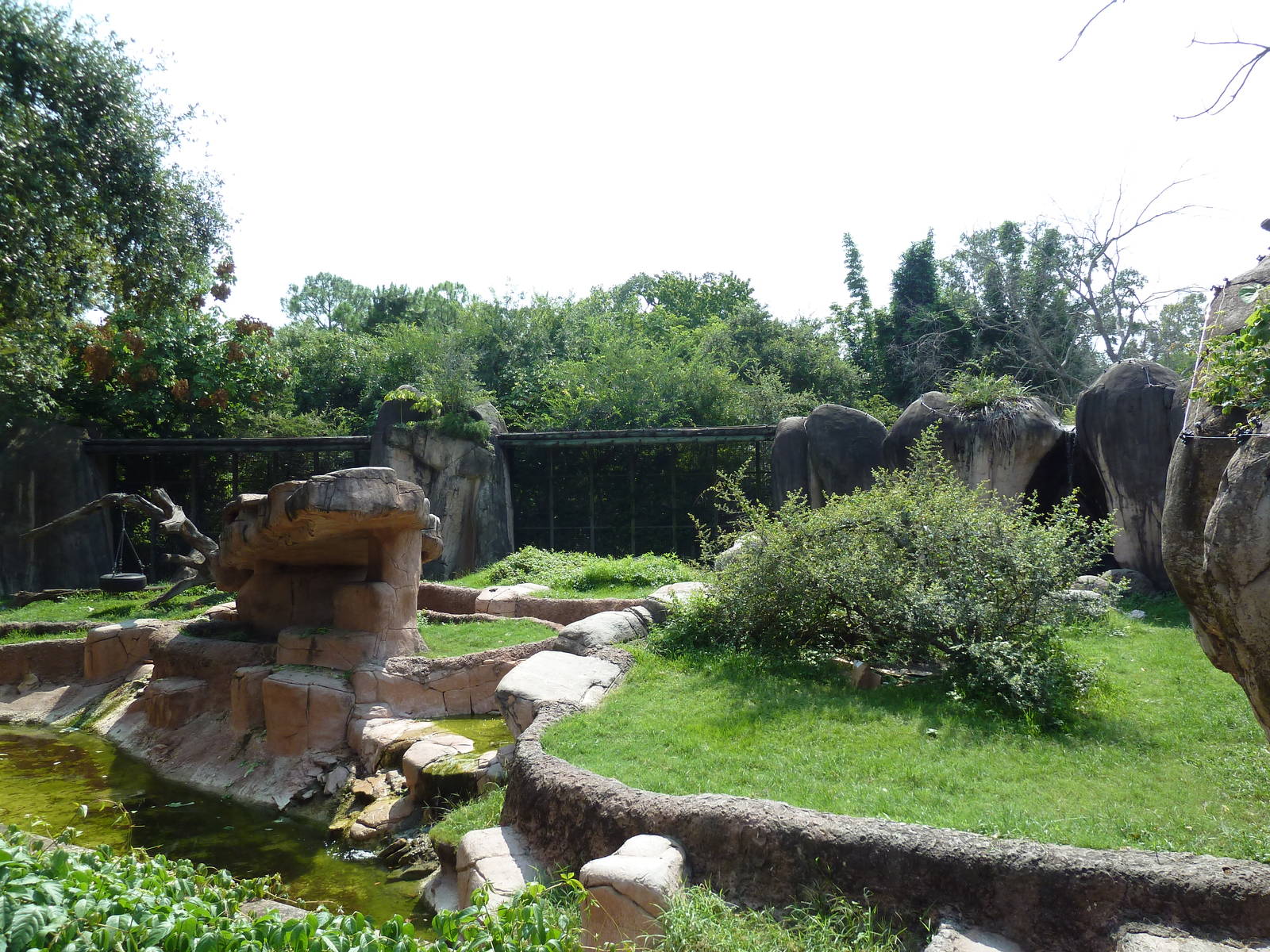 World Of Primates - Gorilla Exhibit