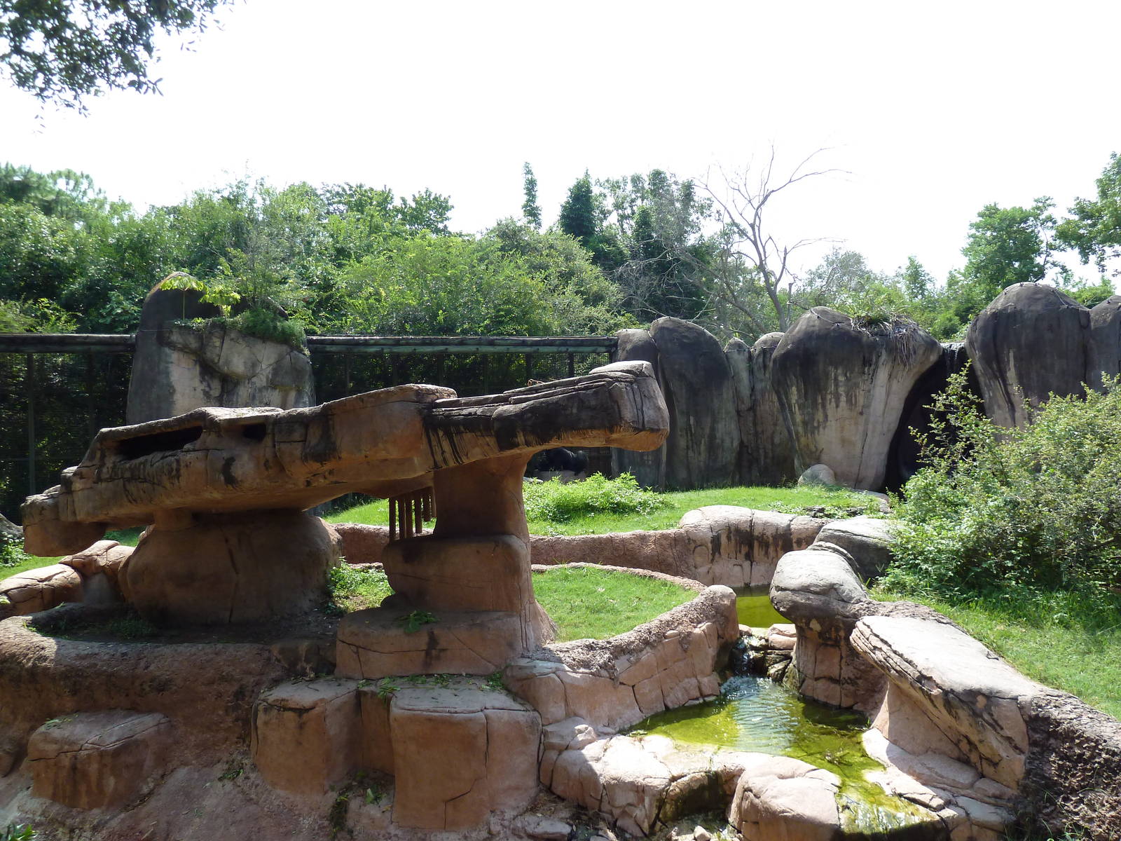 World Of Primates - Gorilla Exhibit