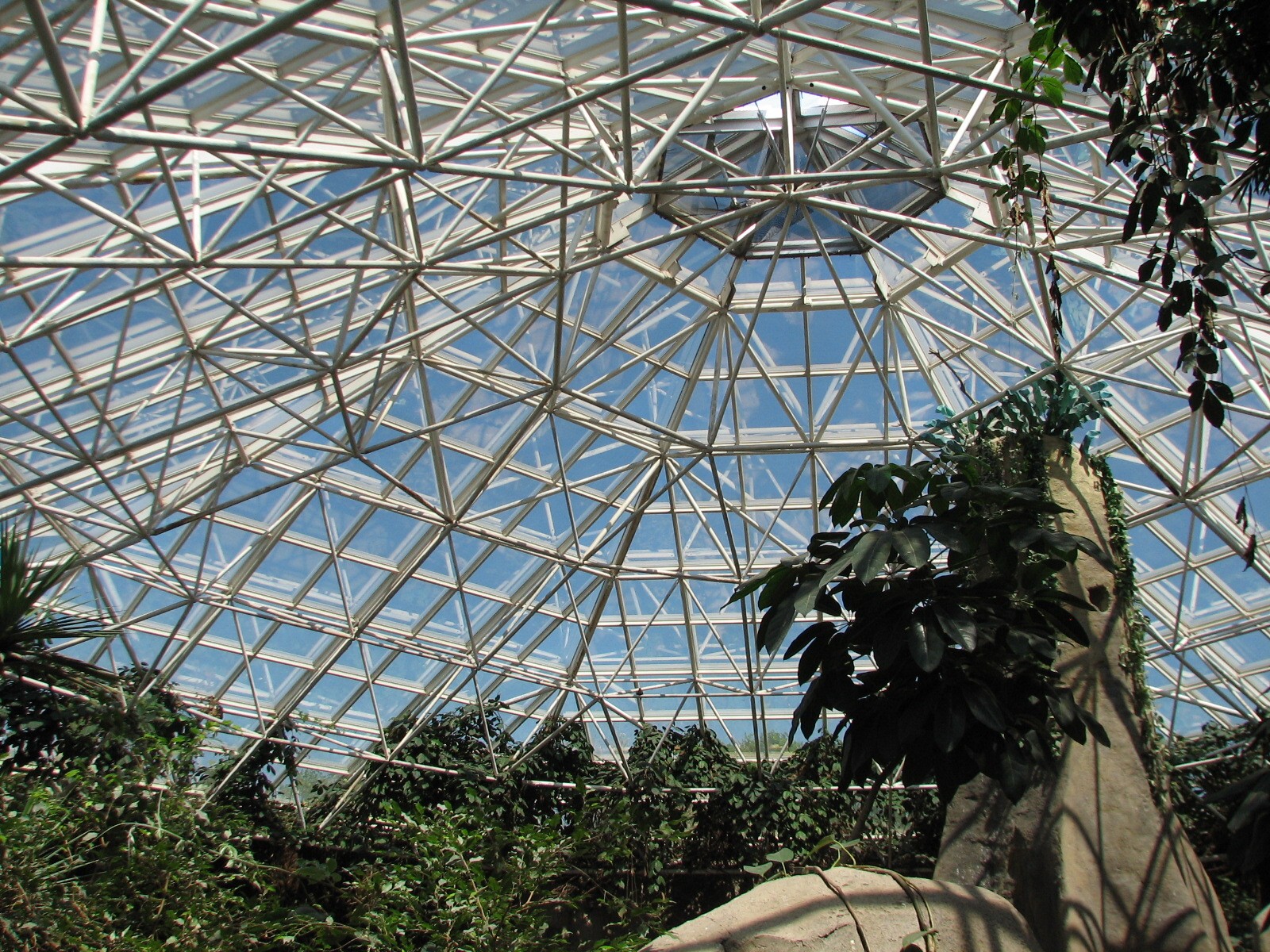 World of Primates - Interior Dome