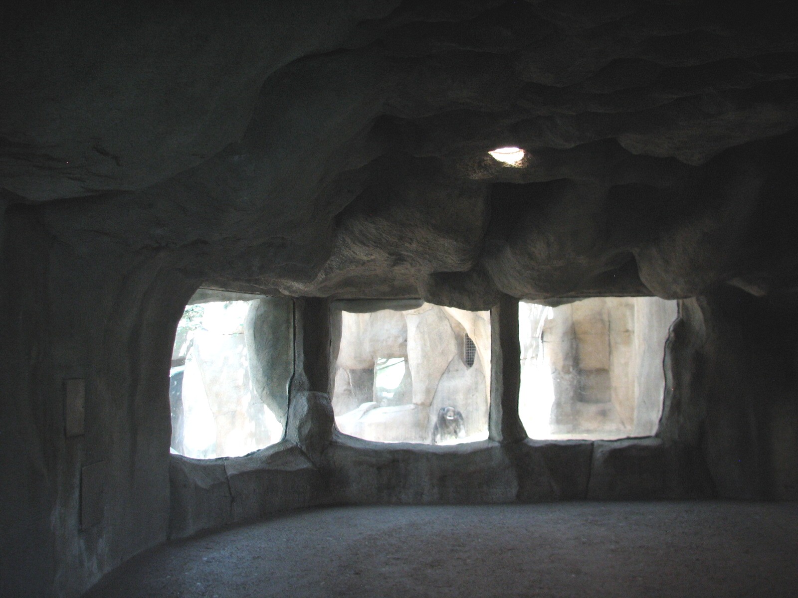 World of Primates - Interior Gorilla Exhibit Viewing Cave