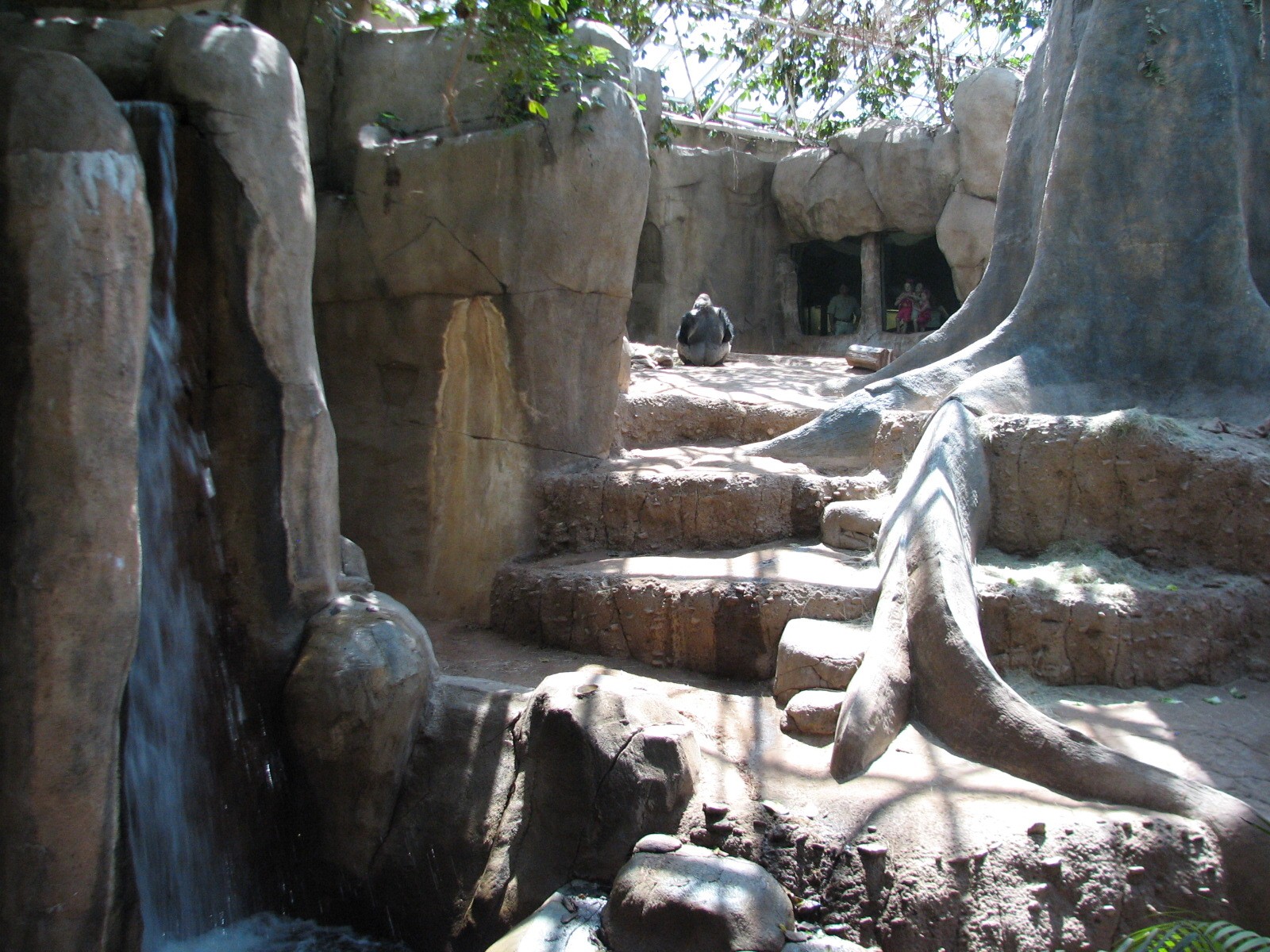 World of Primates - Interior Gorilla Exhibit