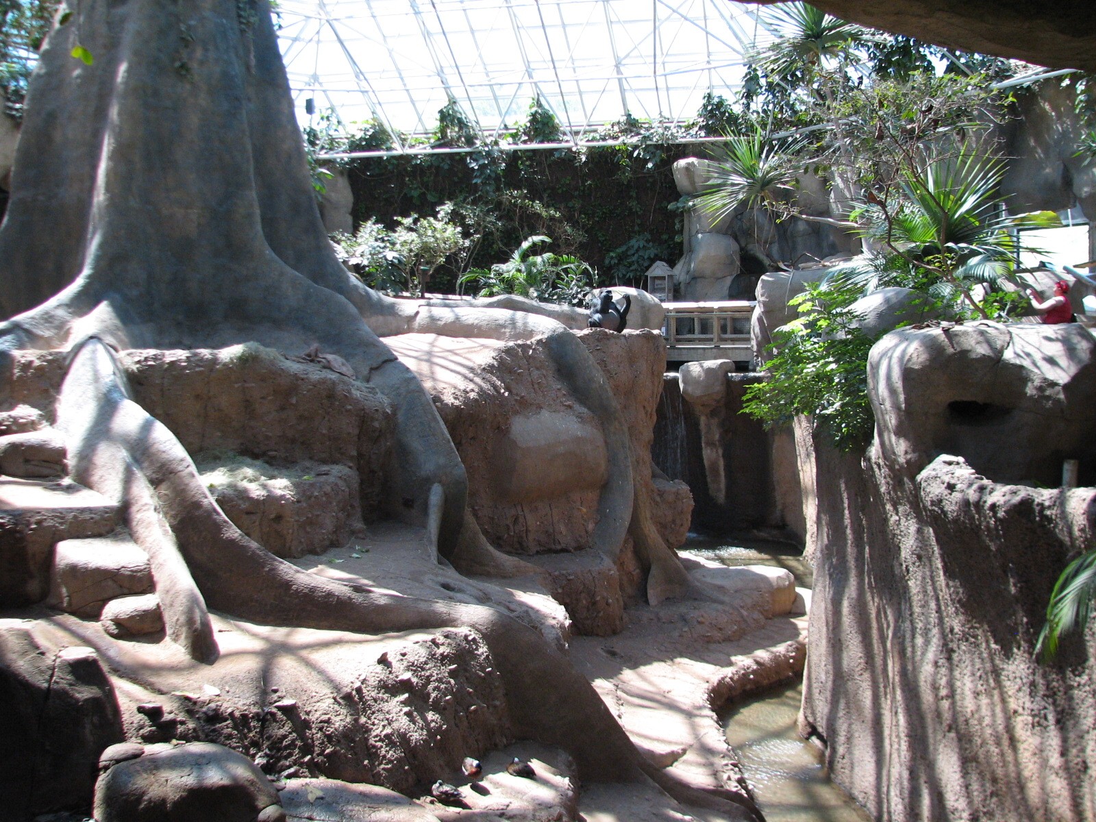 World of Primates - Interior Gorilla Exhibit