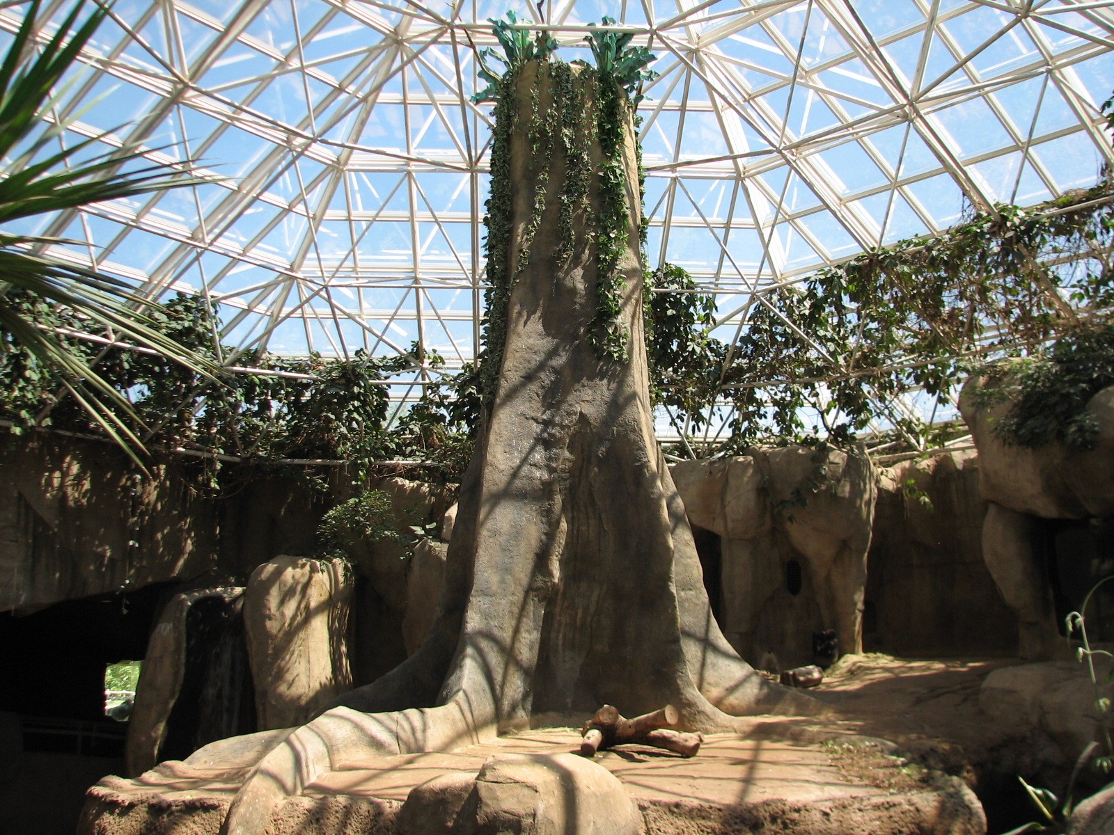 World of Primates - Interior Gorilla Exhibit