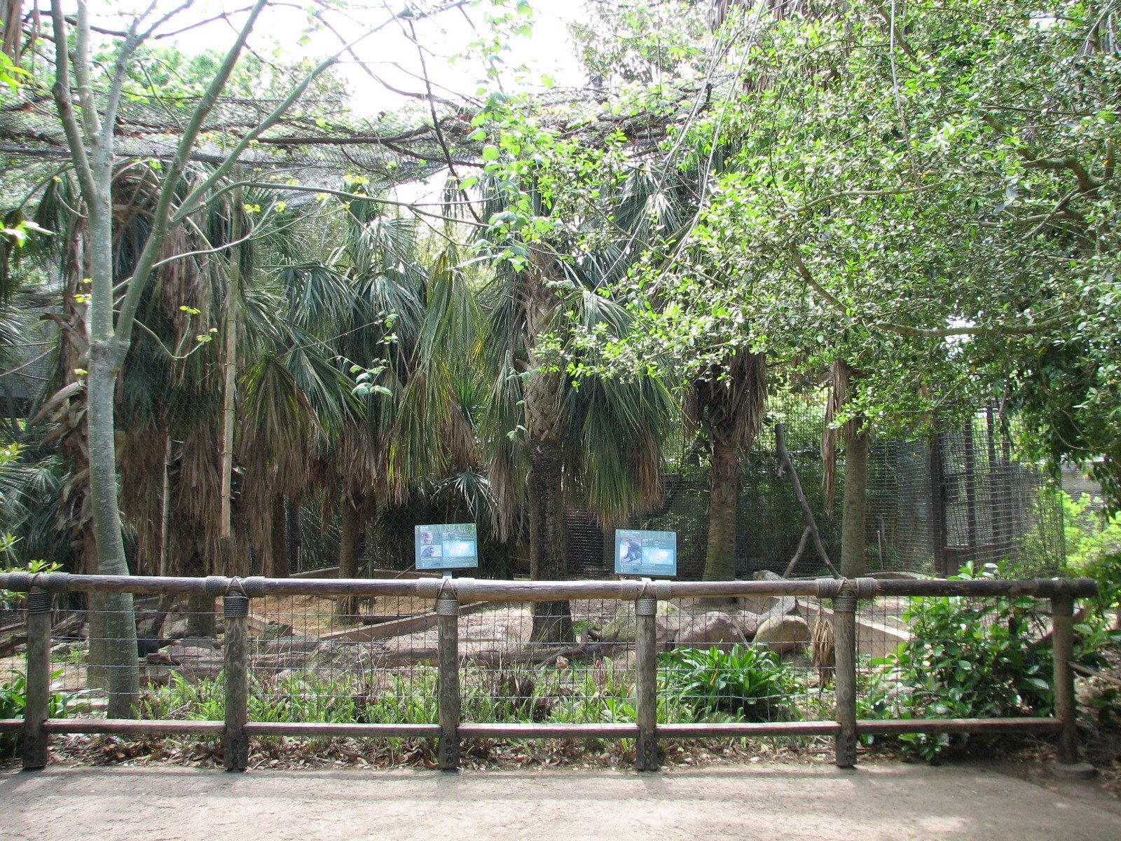 World of Primates - Mandrill and Debrazzas Monkey Exhibit