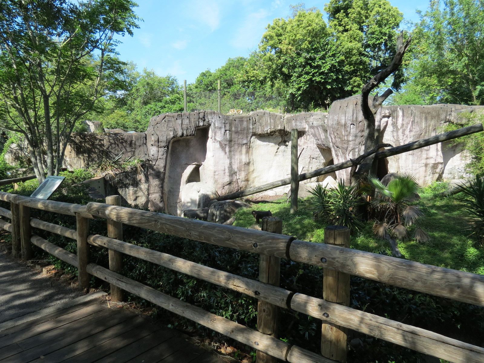 World of Primates - Mandrill Exhibit