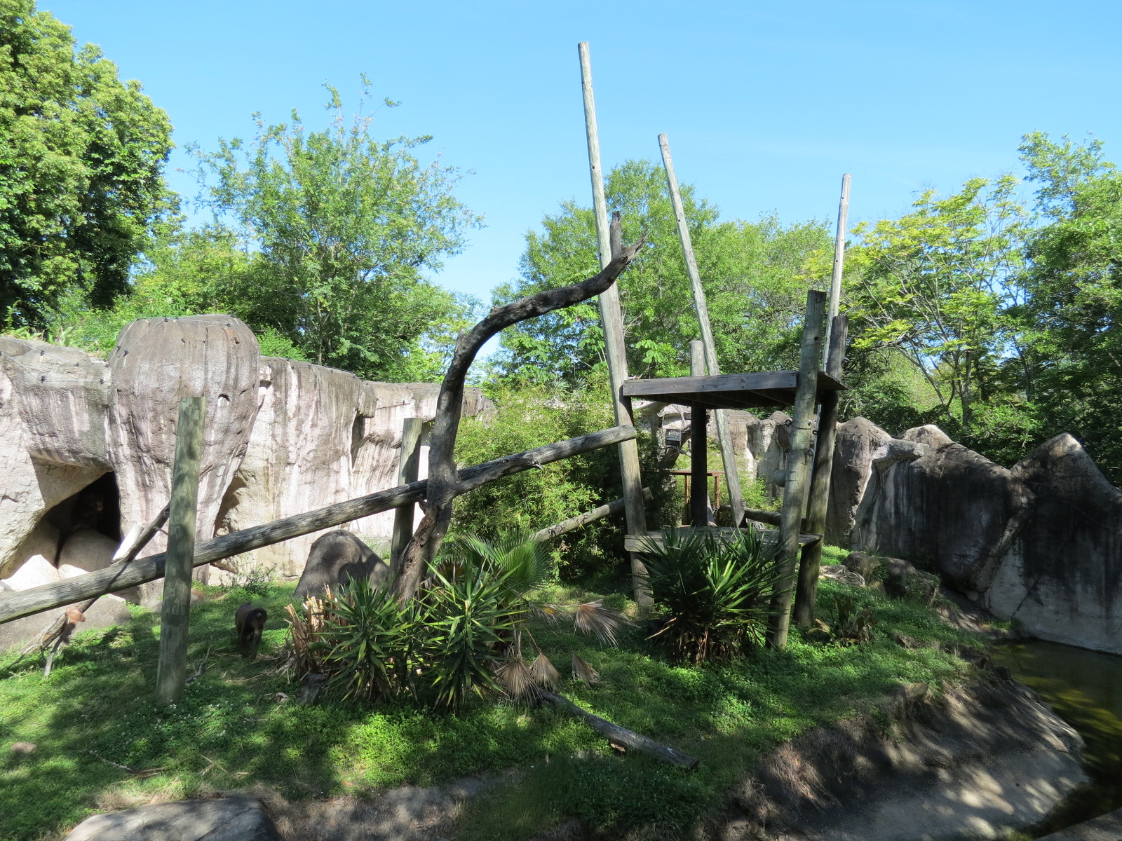 World of Primates - Mandrill Exhibit