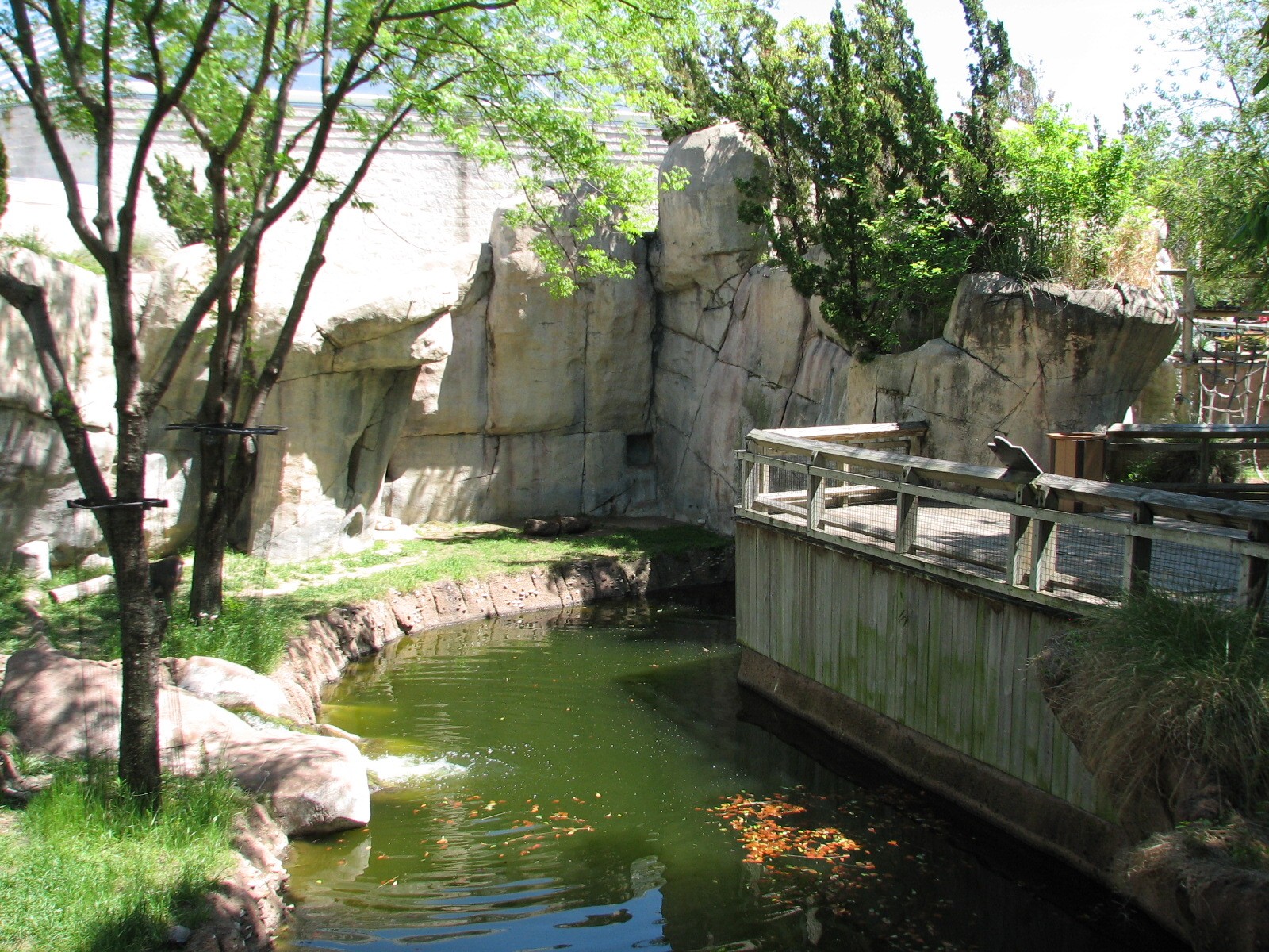 World of Primates - Mandrill Exhibit
