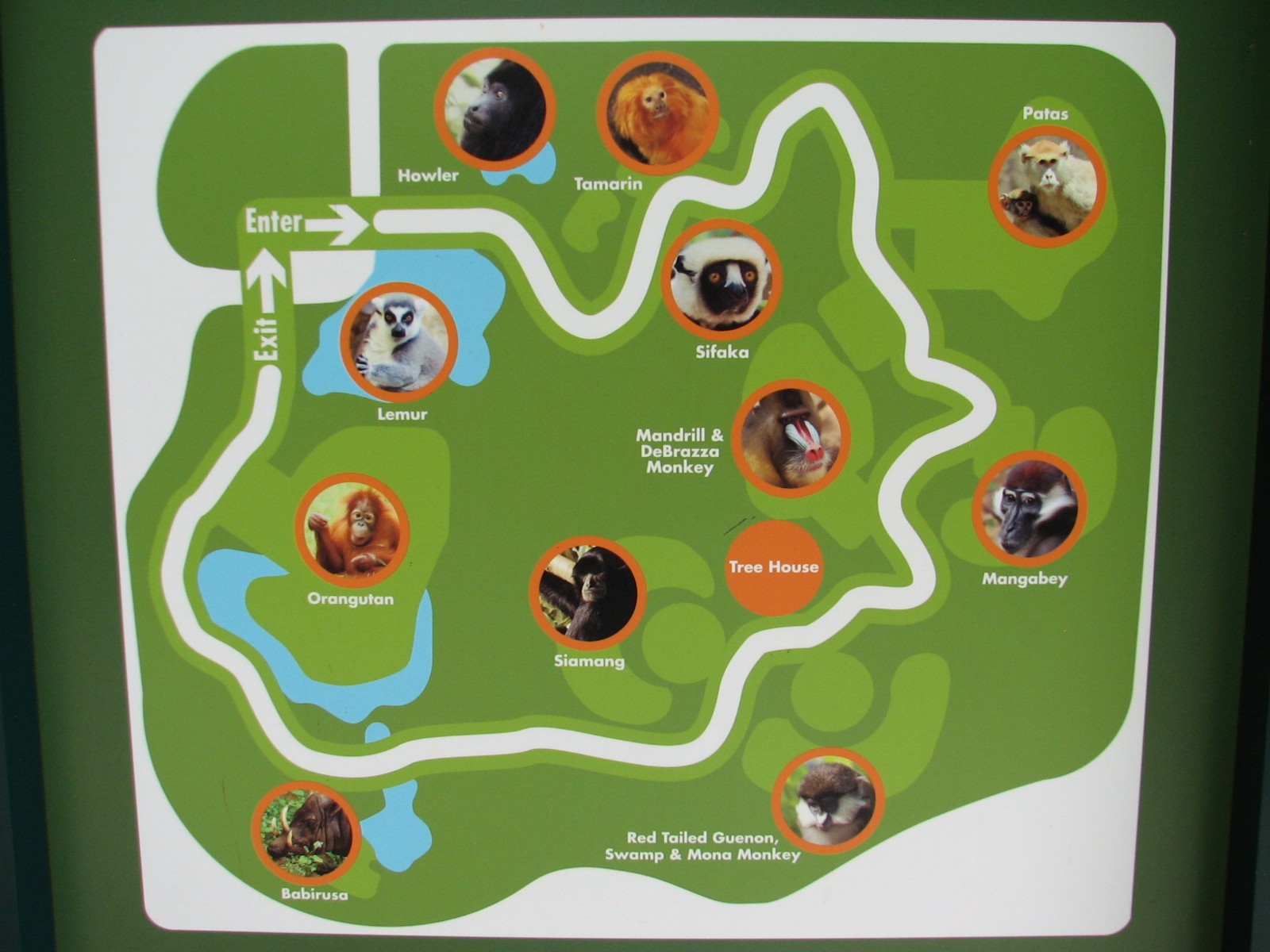 World of Primates - Map