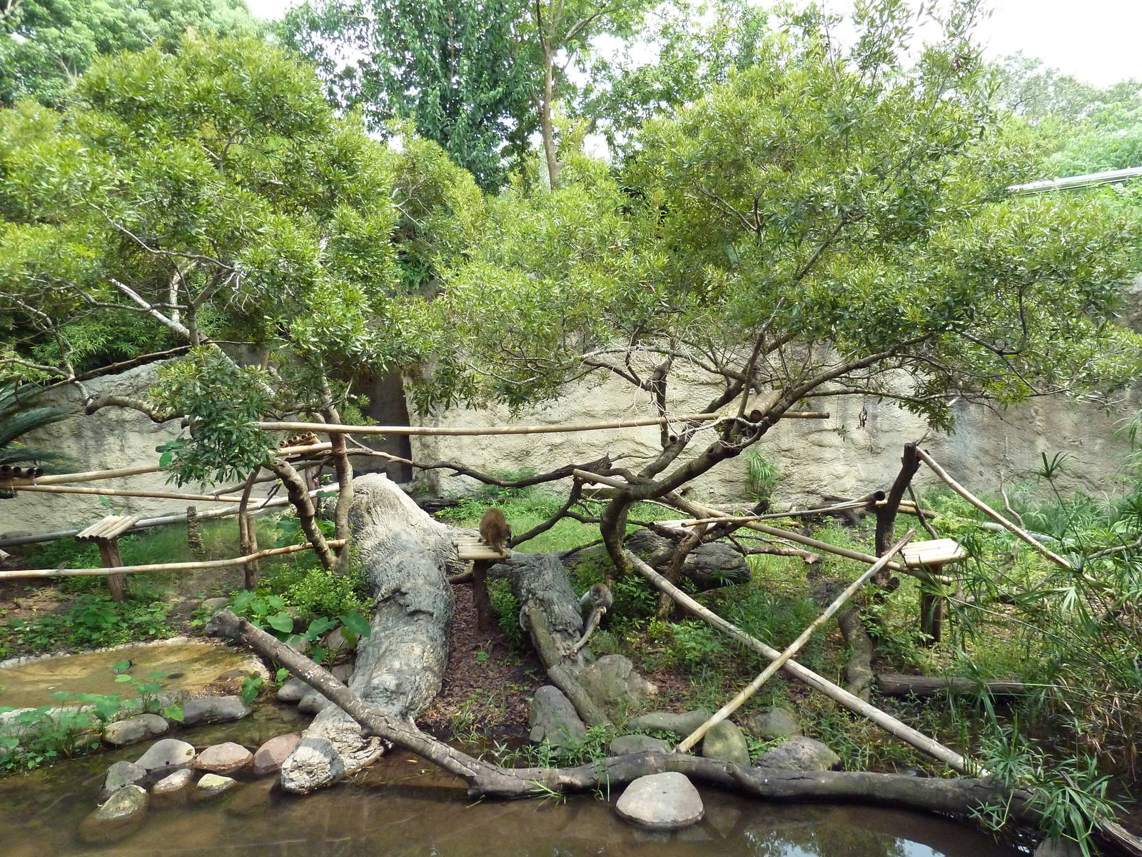 World Of Primates - Mixed-Species Exhibit