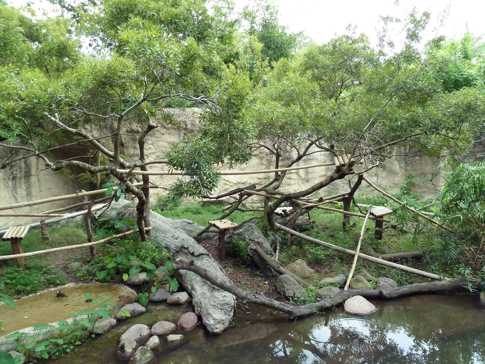 World Of Primates - Mixed-Species Exhibit