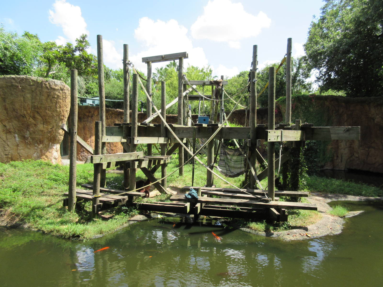 World of Primates - Orangutan Exhibit