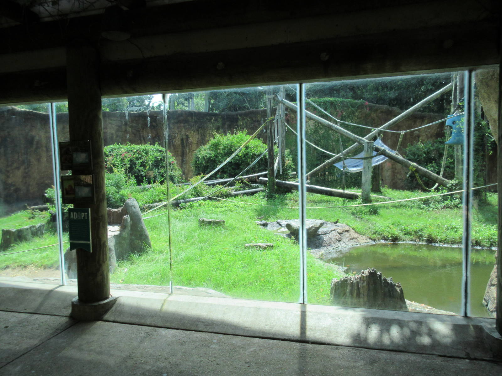 World of Primates - Orangutan Exhibit