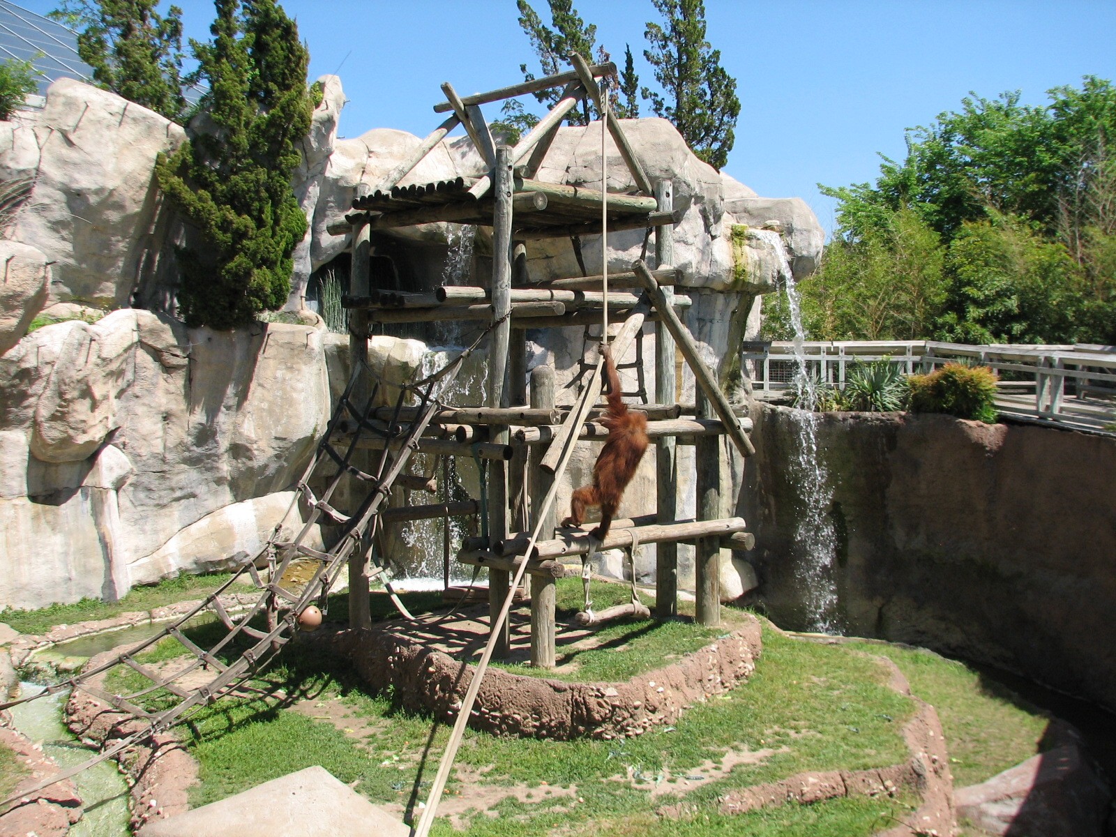 World of Primates - Orangutan Exhibit