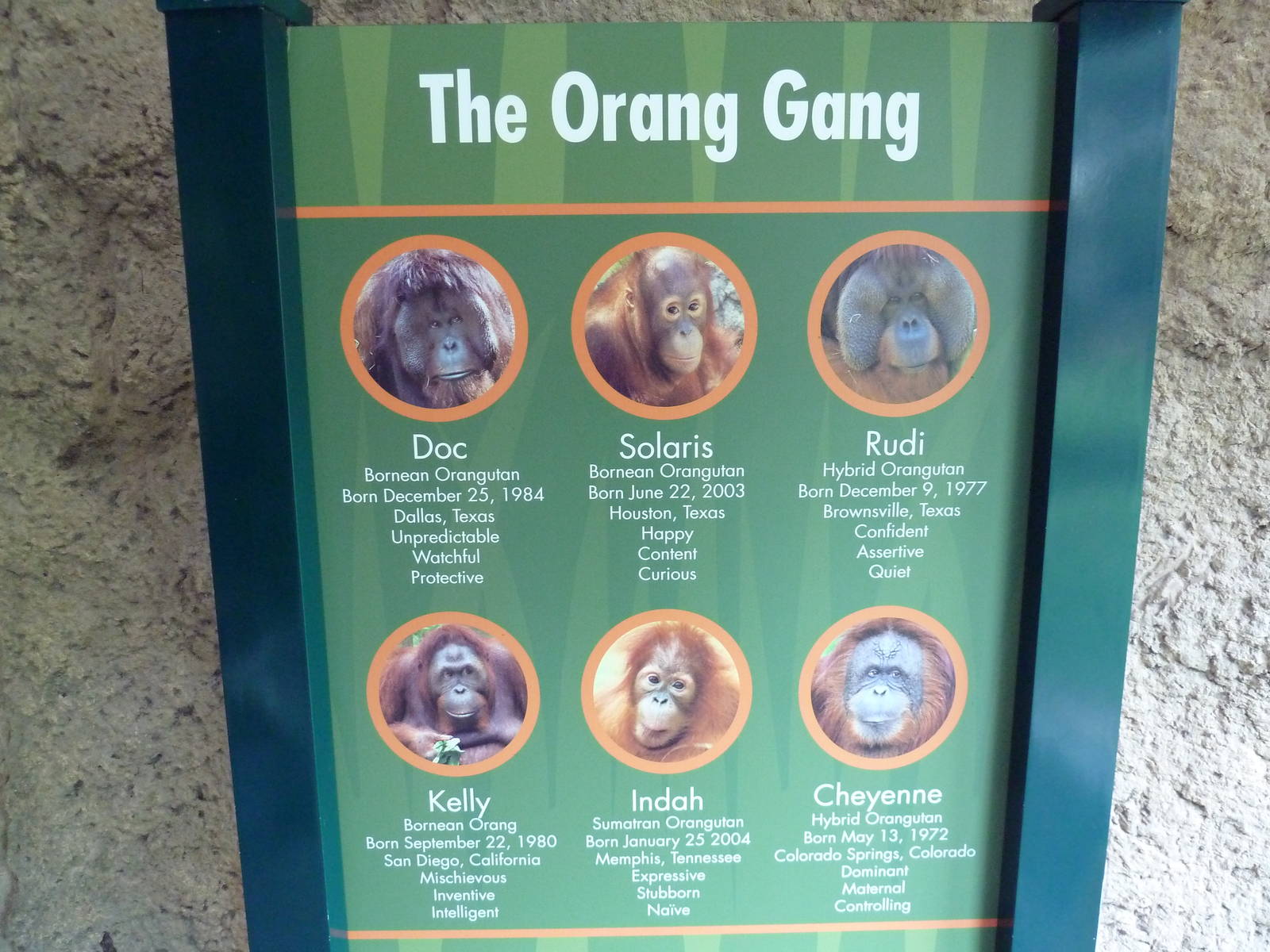 World Of Primates - Orangutan Signage