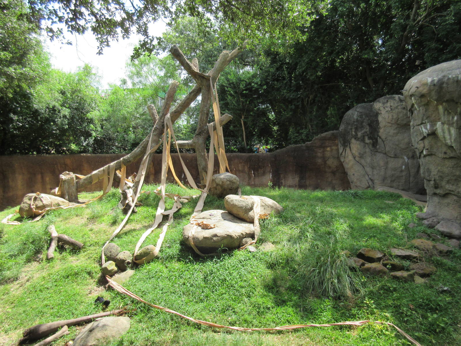 World of Primates - Patas Monkey Exhibit