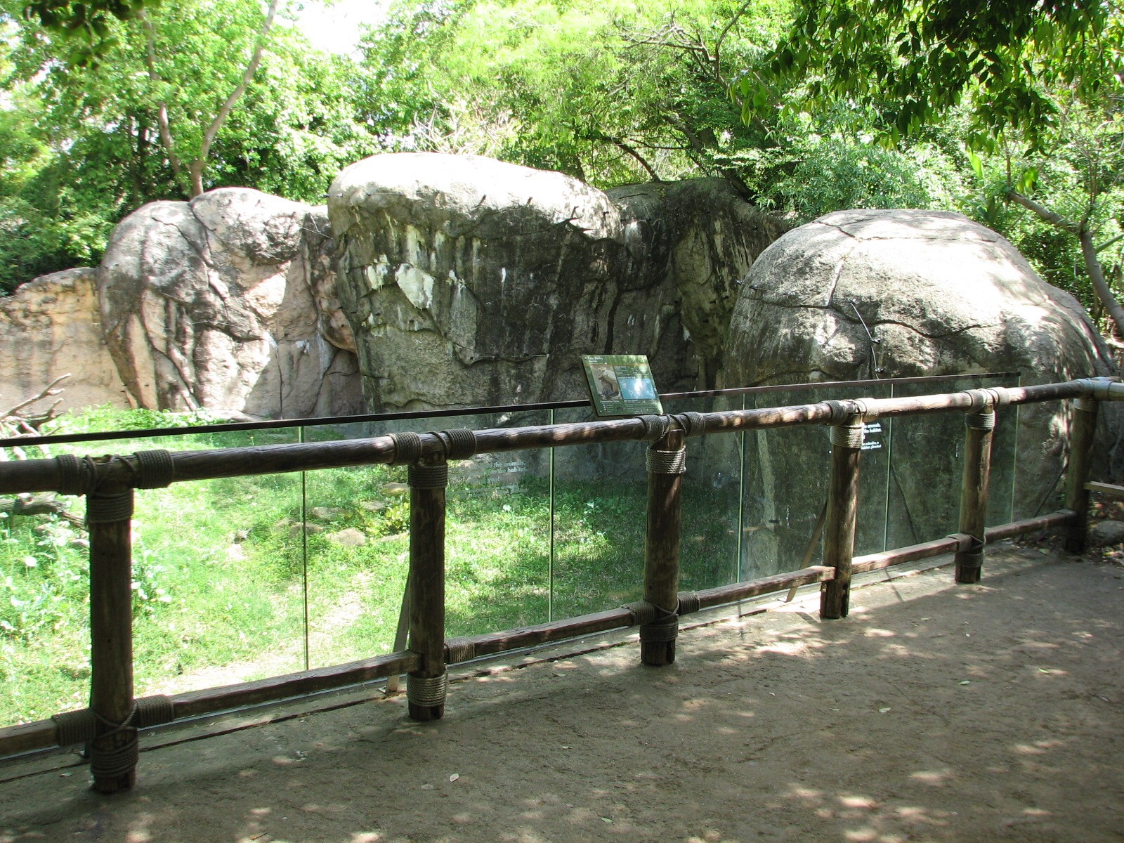 World of Primates - Patas Monkey Exhibit