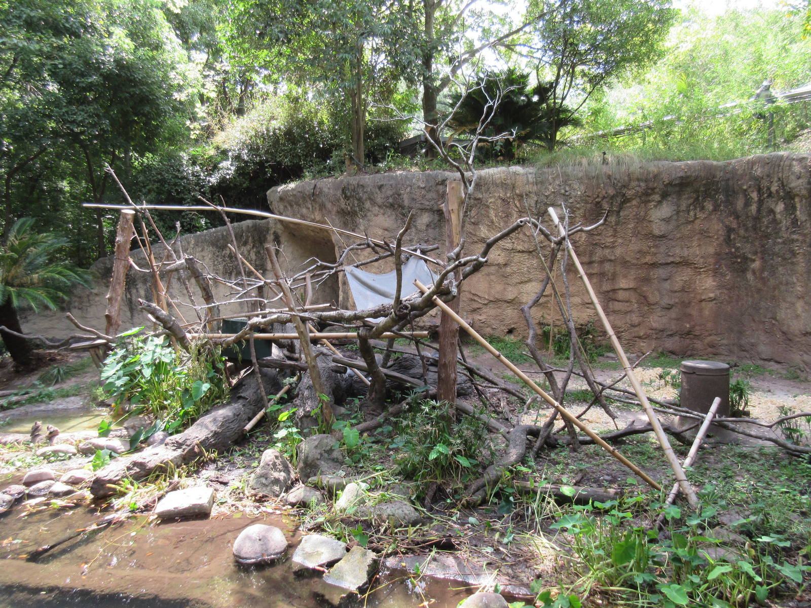 World of Primates - Ring-Tailed Lemur Exhibit