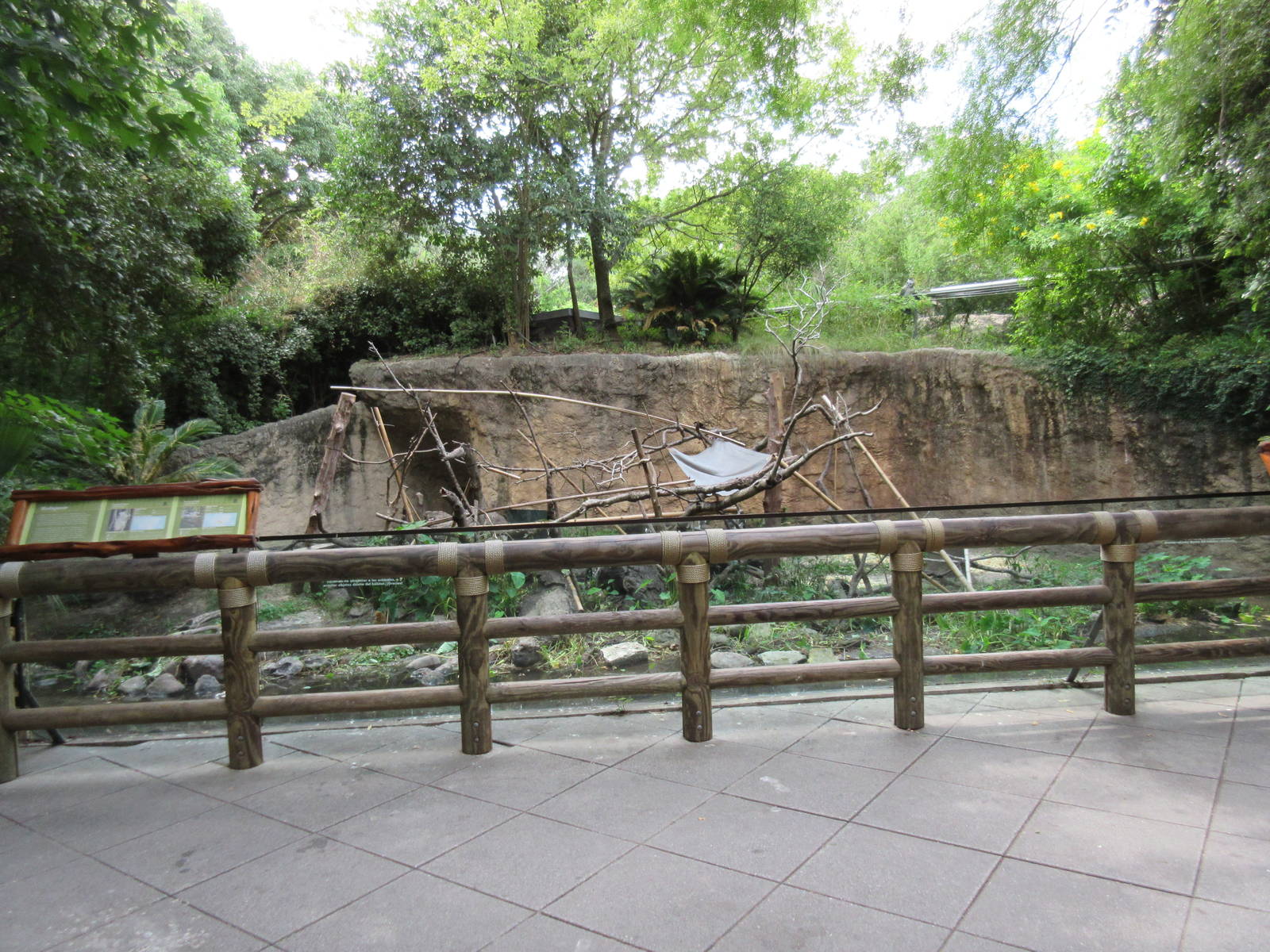 World of Primates - Ring-Tailed Lemur Exhibit