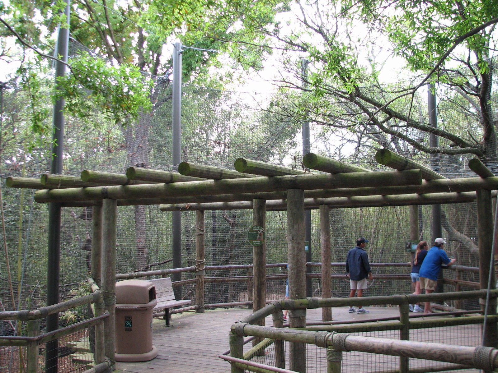 World of Primates - Siamang and Agile Gibbon Exhibit