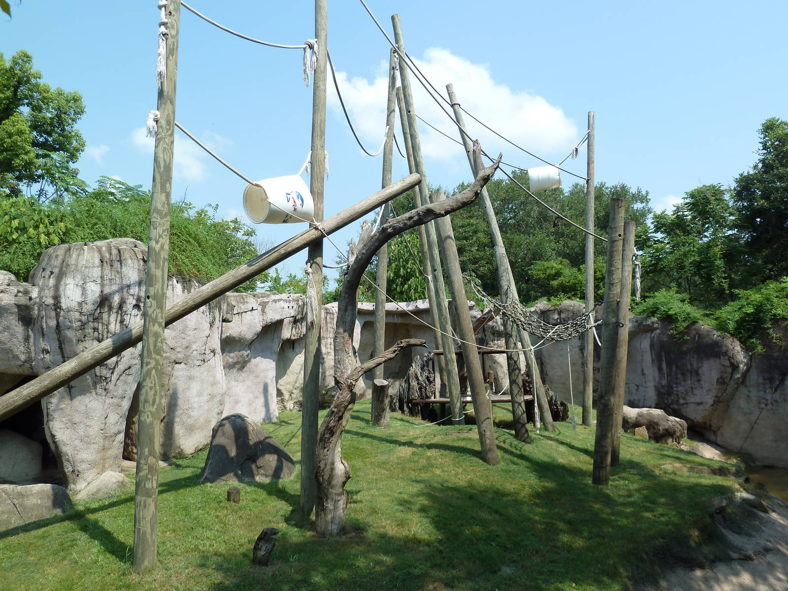 World Of Primates - Sumatran Orangutan Exhibit